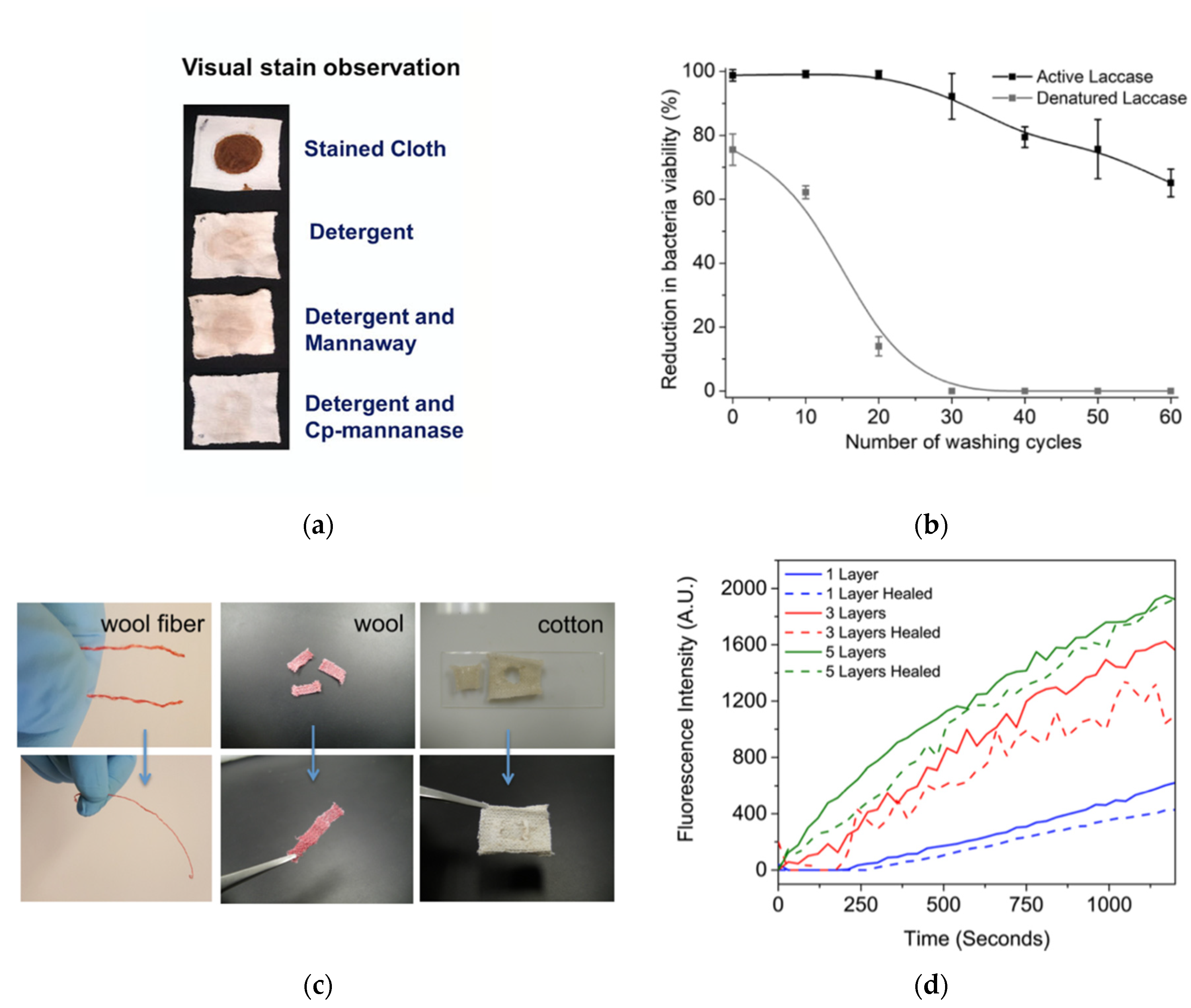 Biosensors 12 00028 g003
