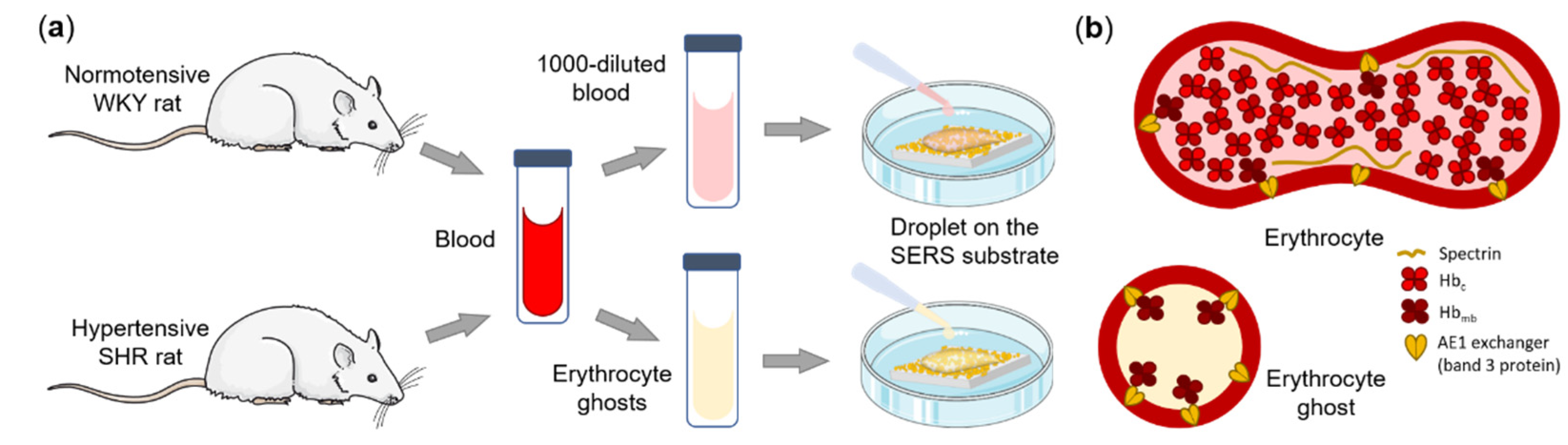 Biosensors 12 00032 g001 550