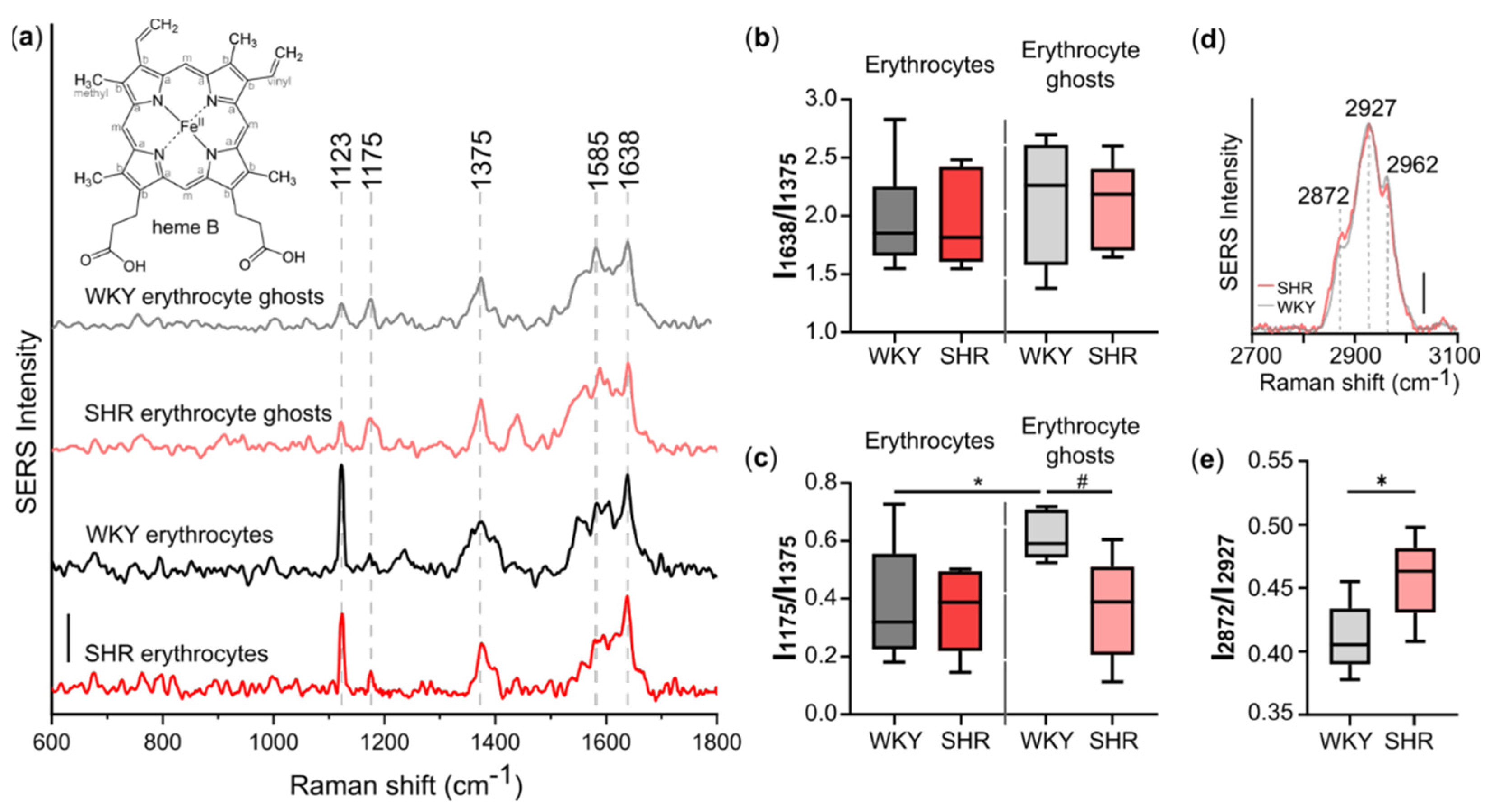 Biosensors 12 00032 g003 550