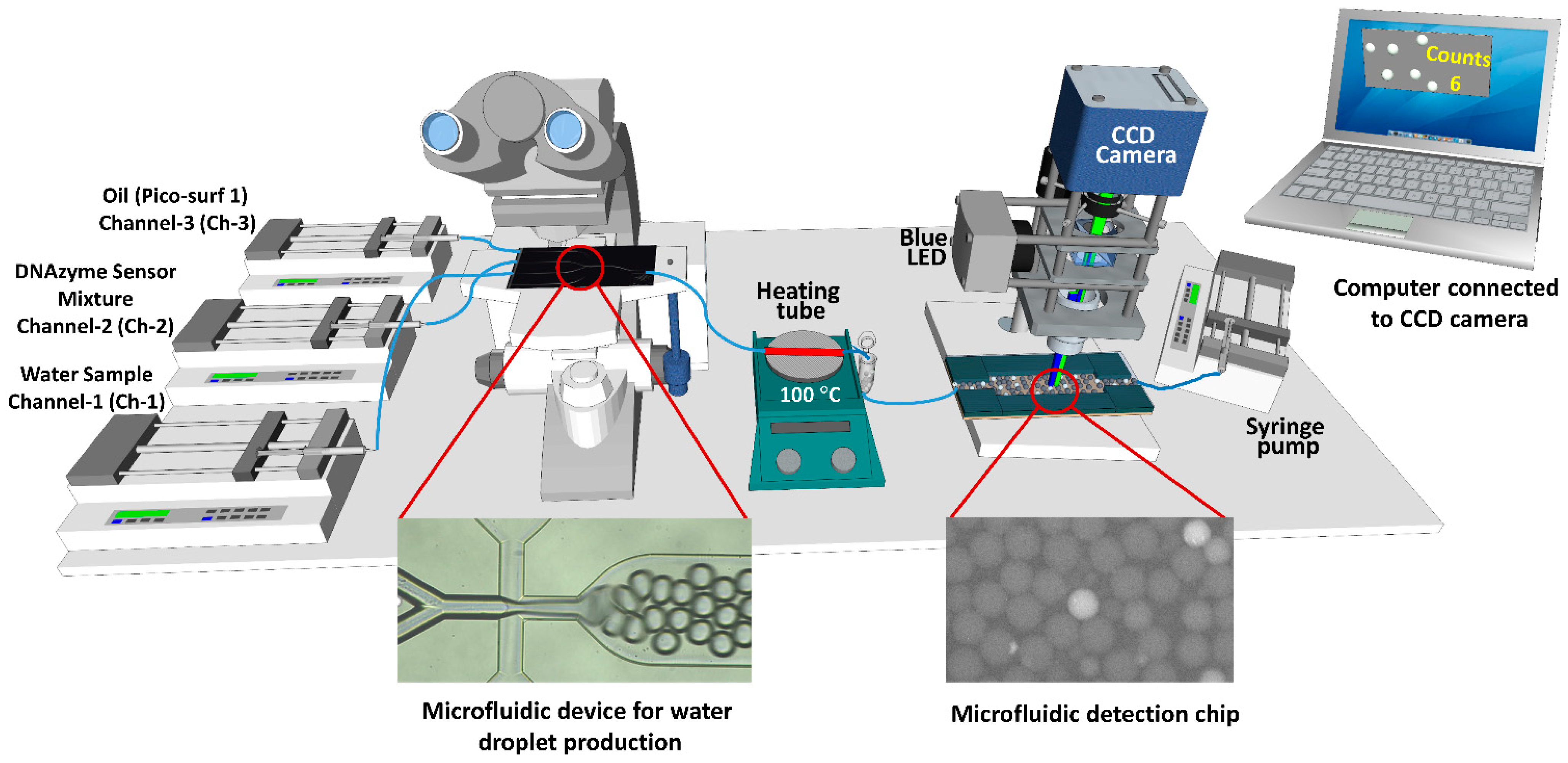 Biosensors 12 00034 g001