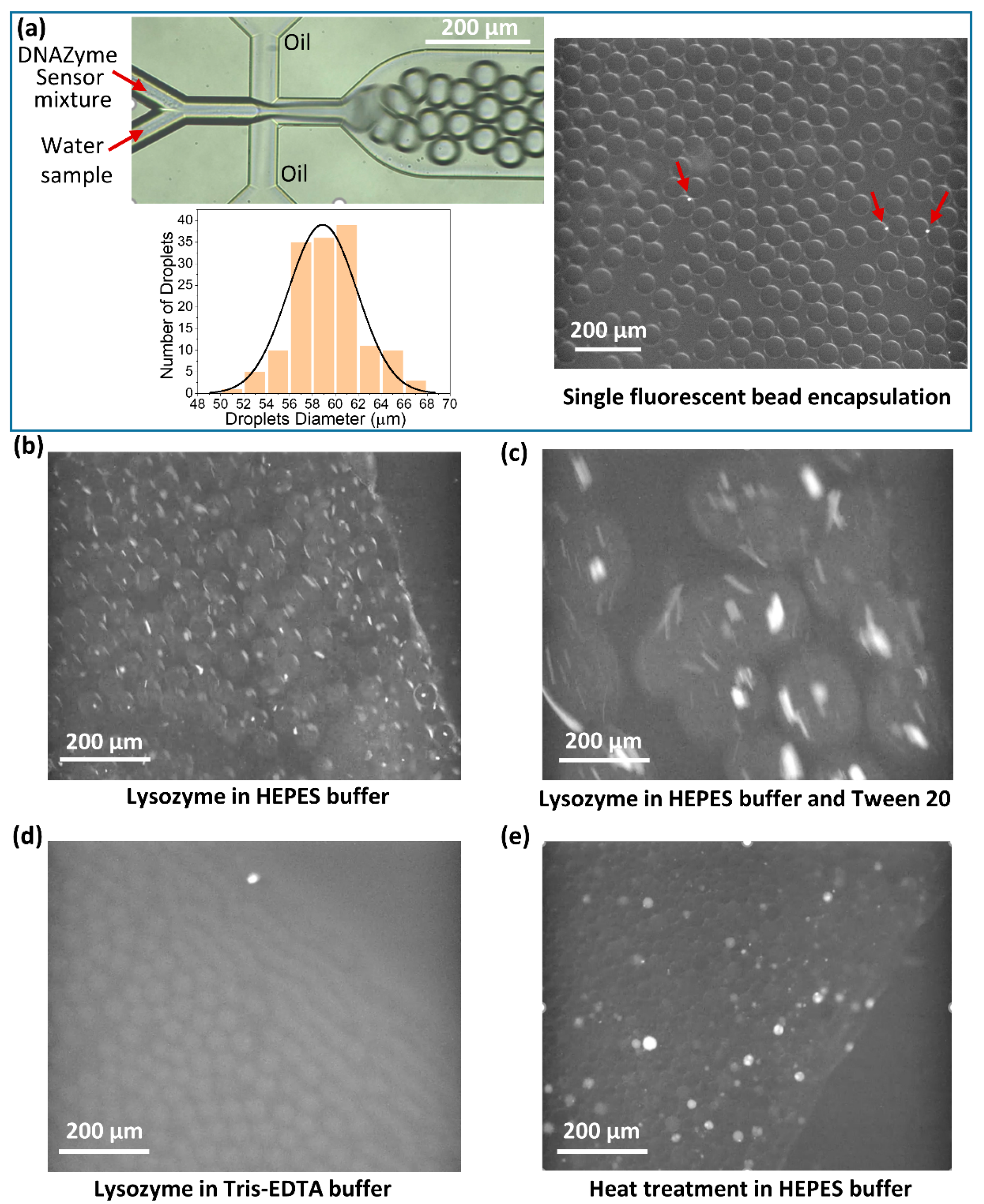 Biosensors 12 00034 g002