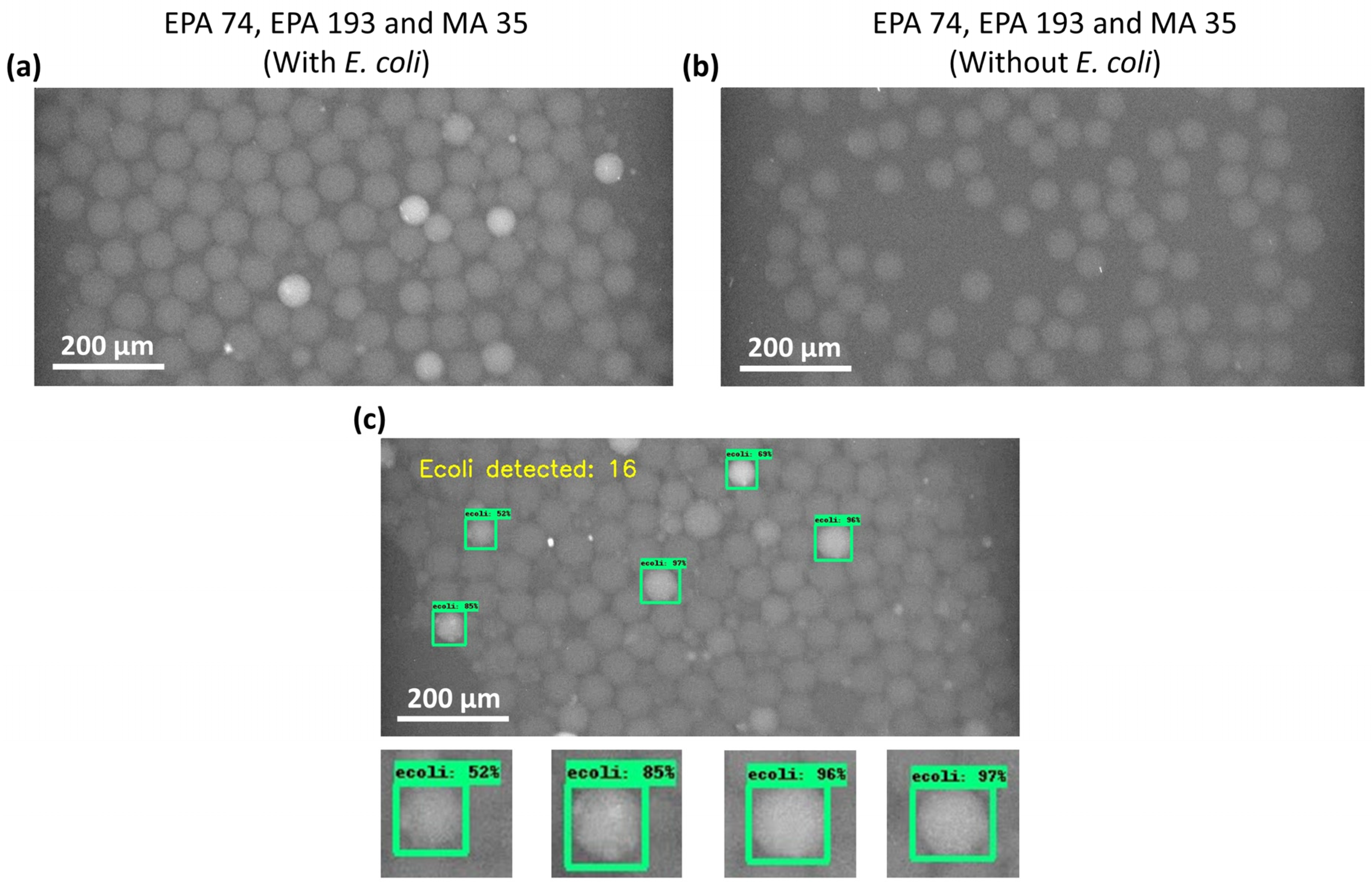 Biosensors 12 00034 g004