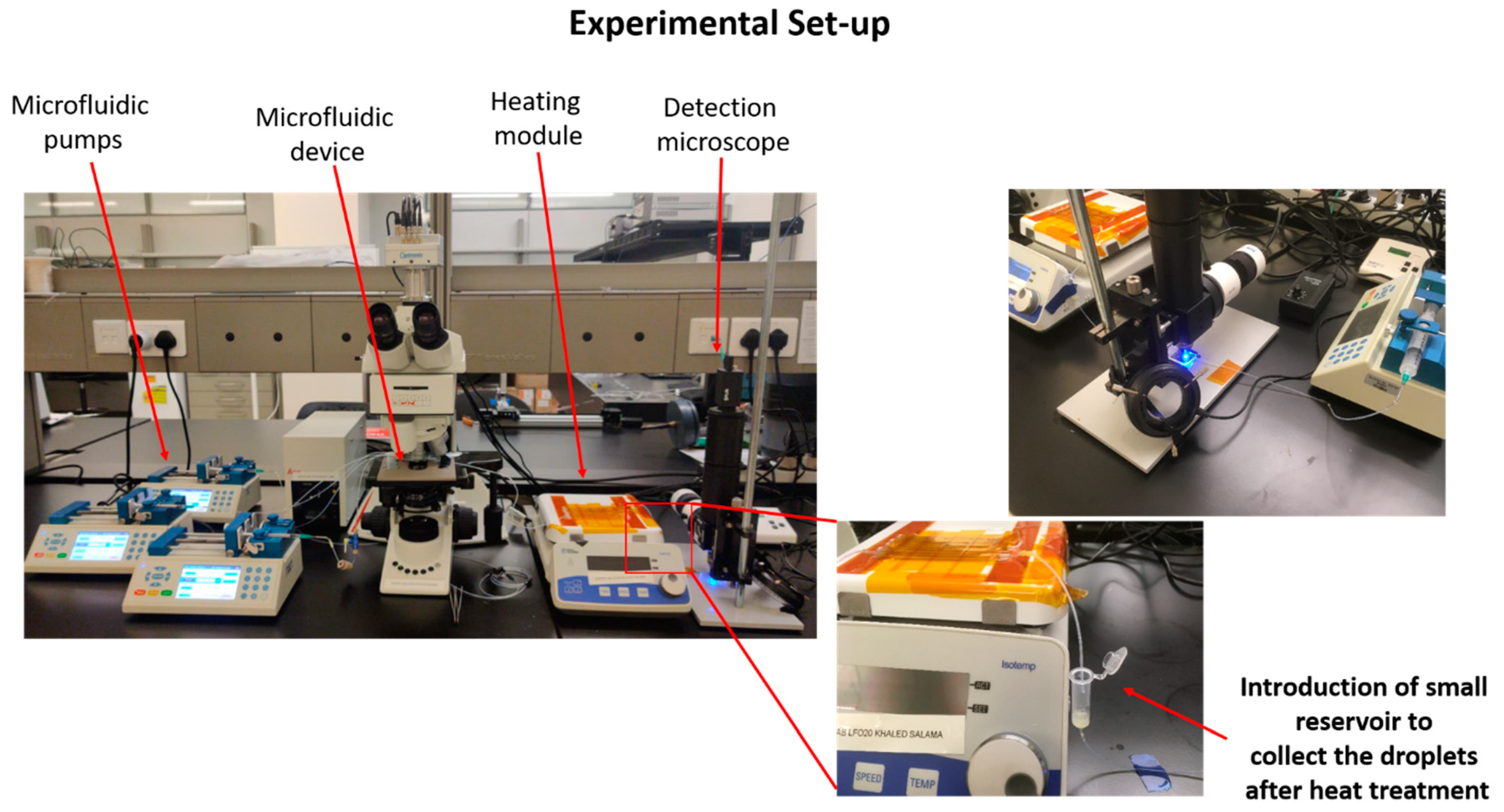 Biosensors 12 00034 g0a1