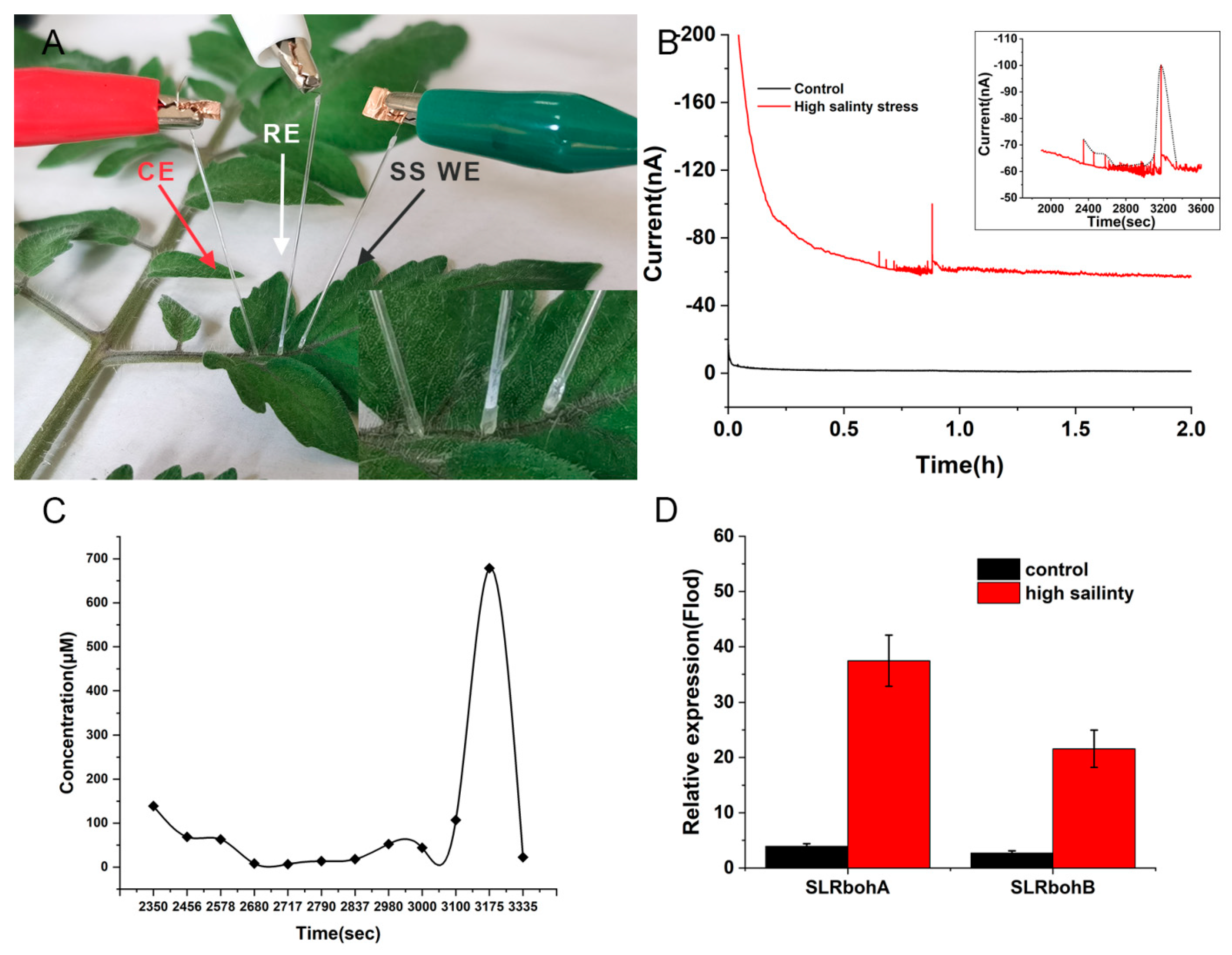 Biosensors 12 00035 g006 550