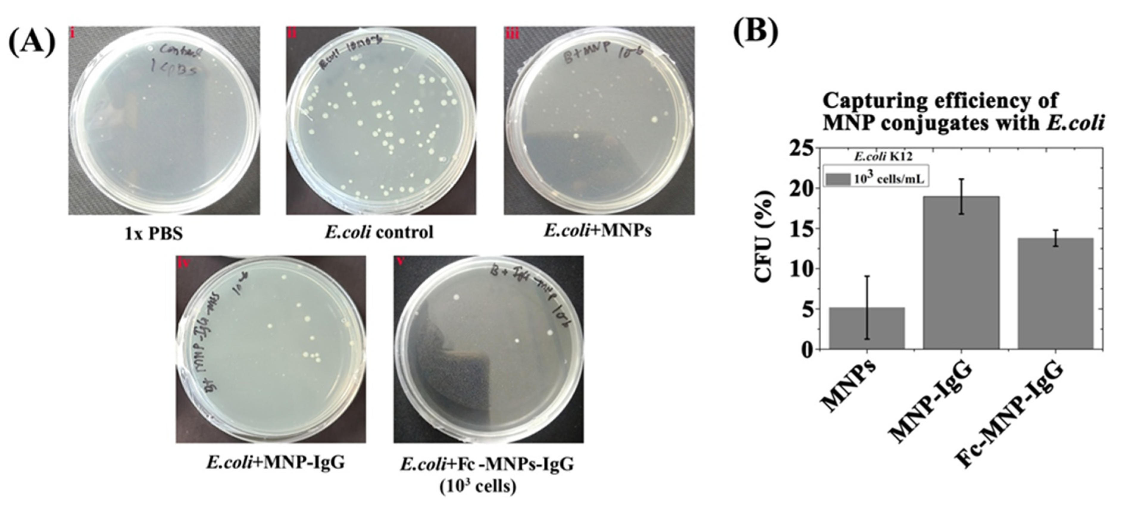 Biosensors 12 00036 g005 550