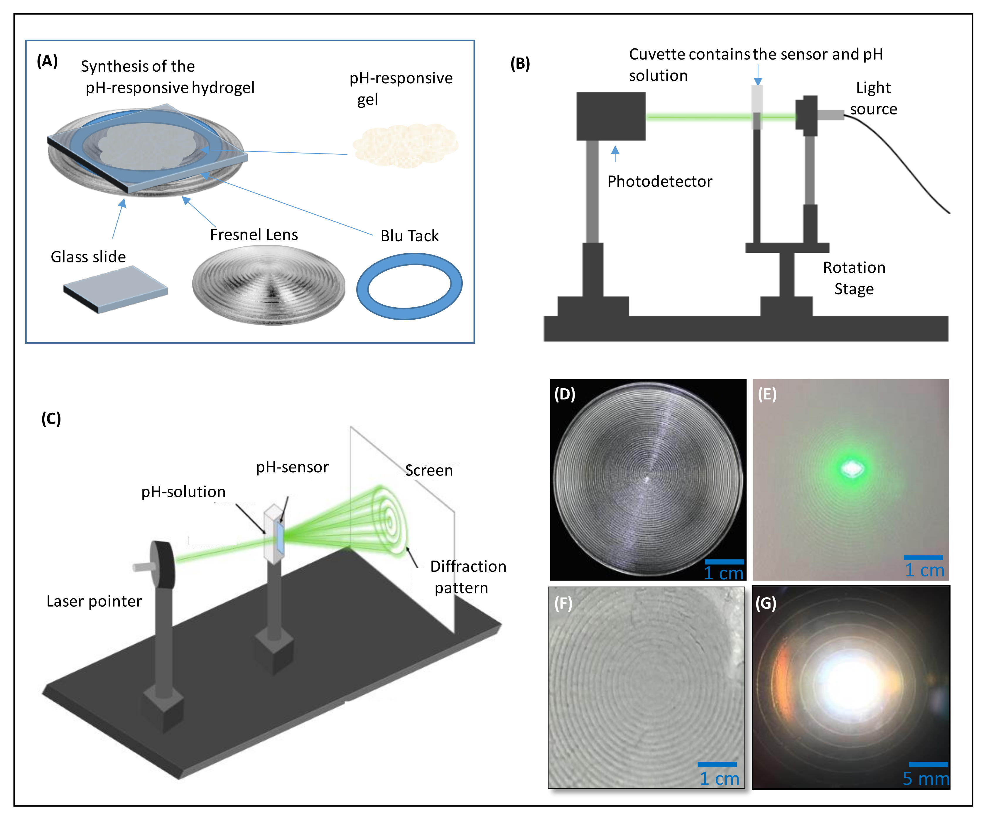 Biosensors 12 00040 g001