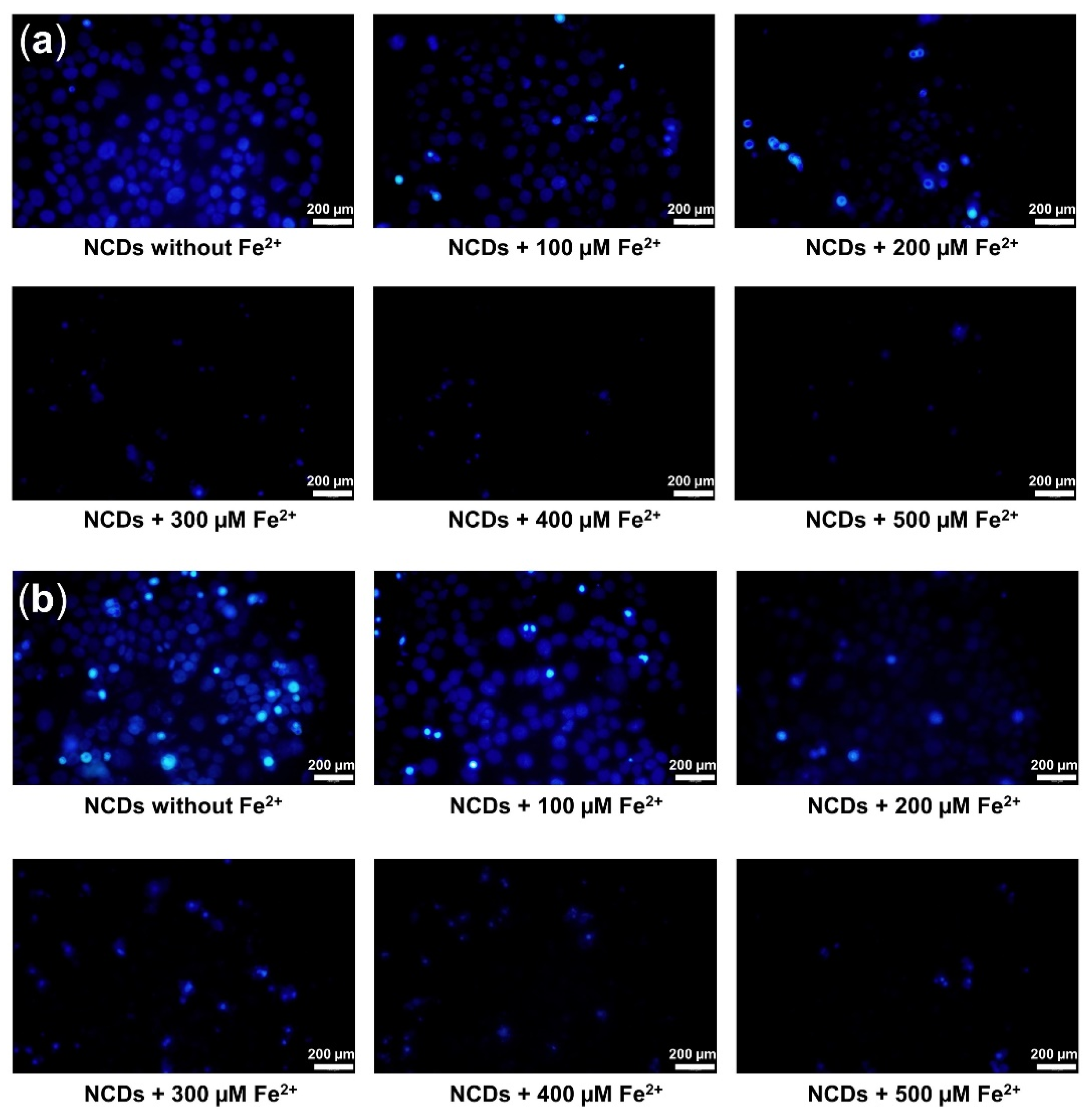 Biosensors 12 00041 g005 550