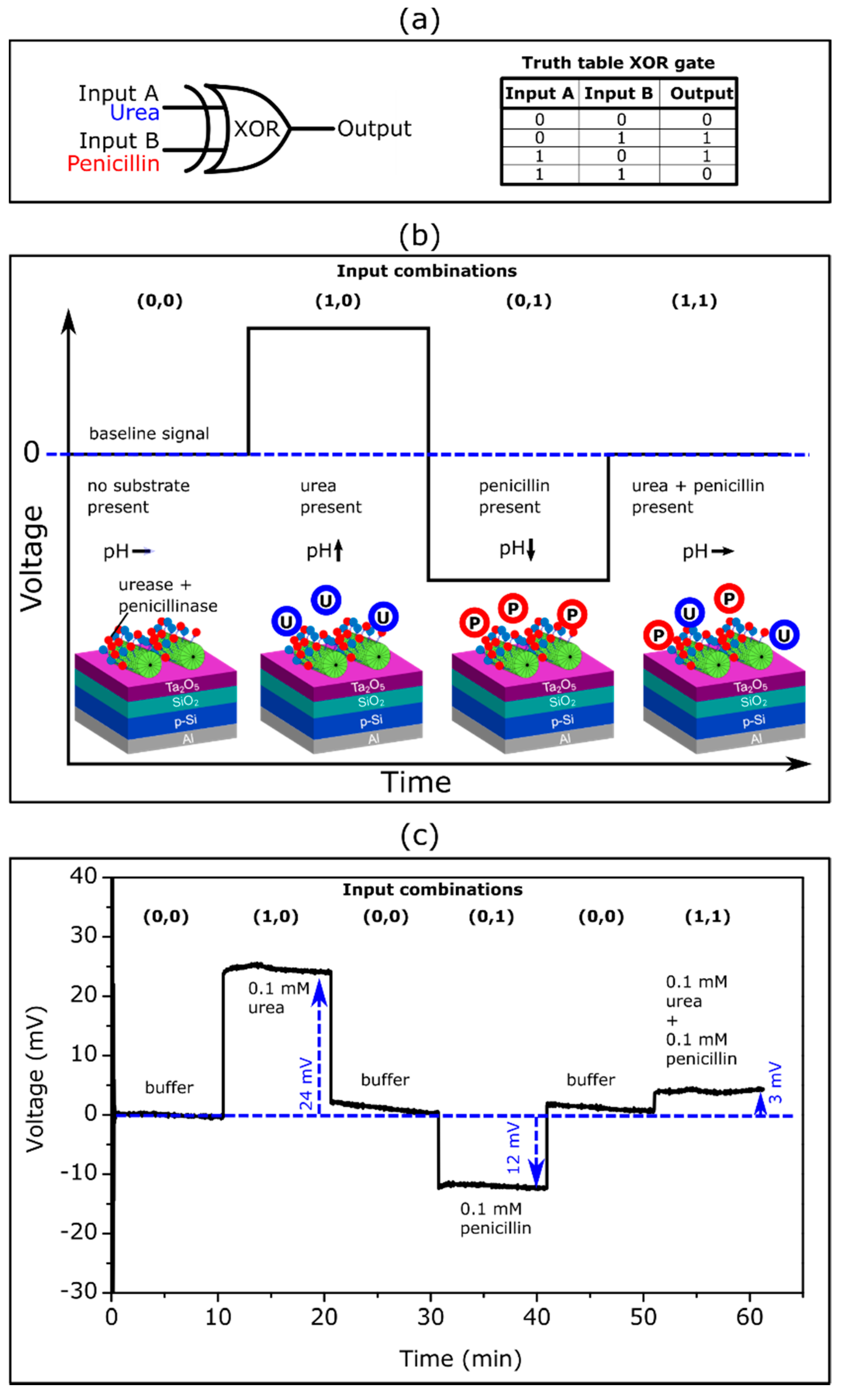 Biosensors 12 00043 g005