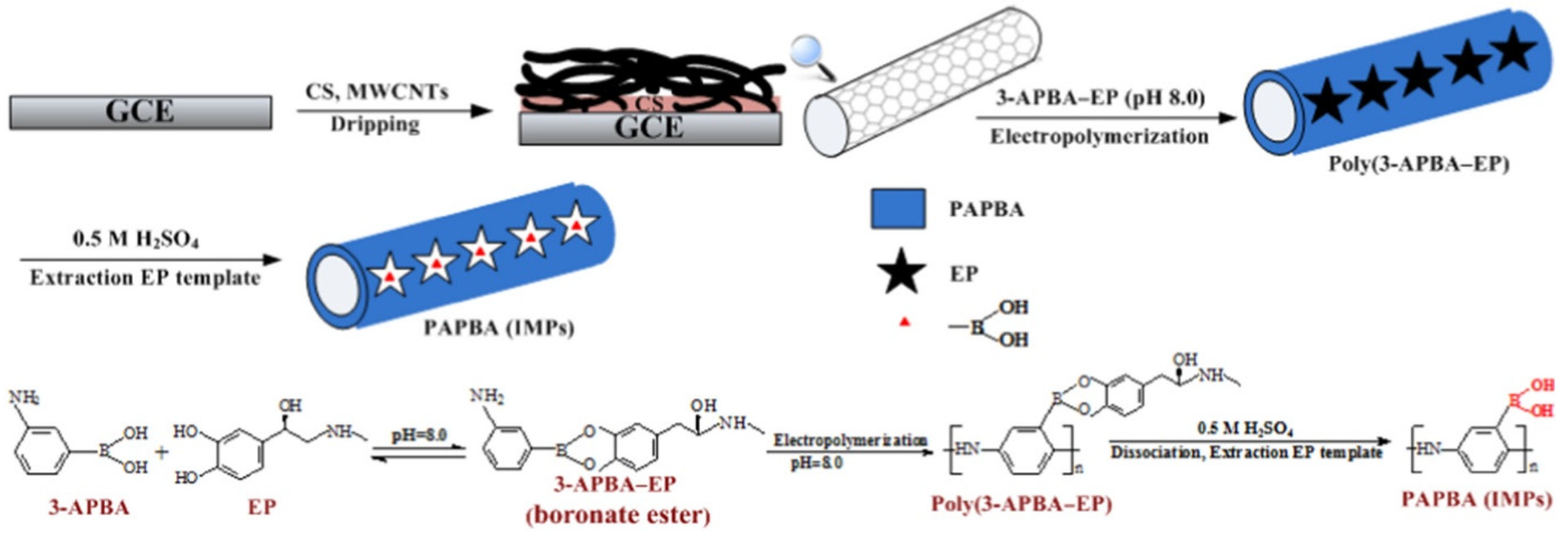 Biosensors 12 00044 g005