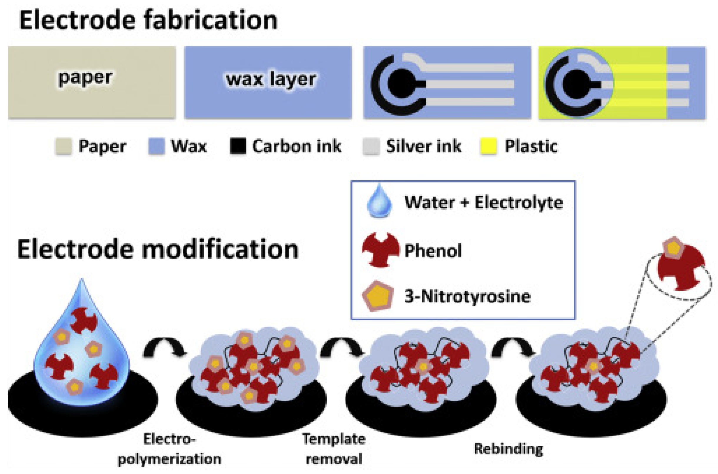 Biosensors 12 00044 g008