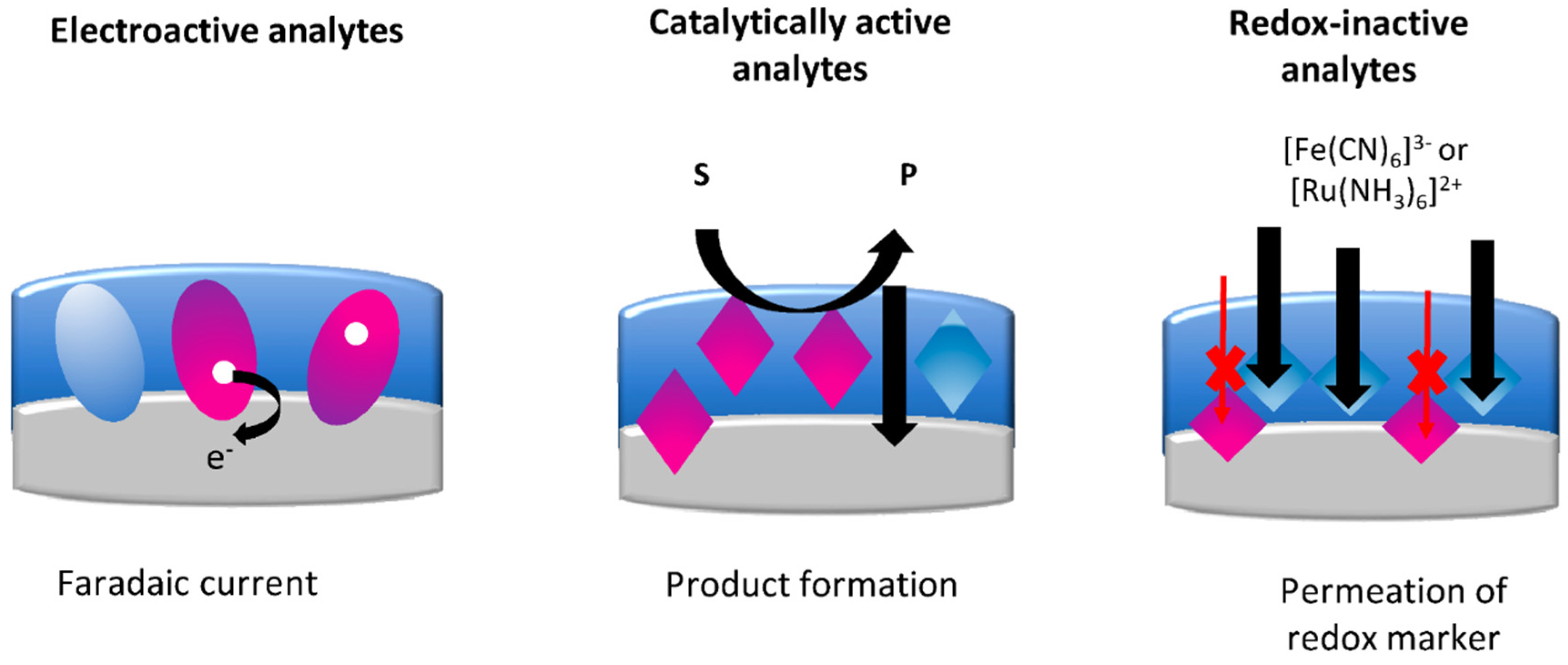 Biosensors 12 00044 g010