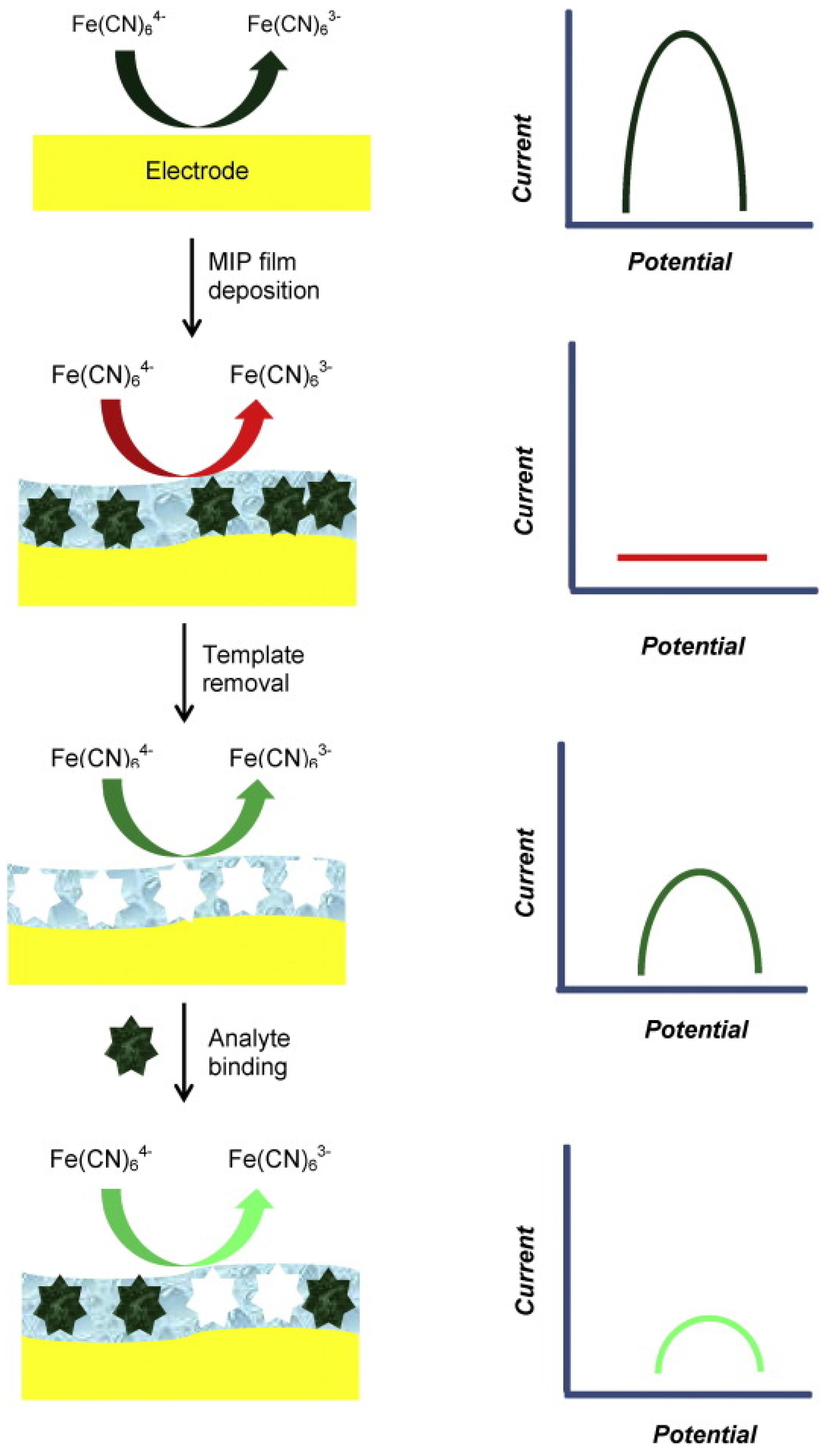Biosensors 12 00044 g012