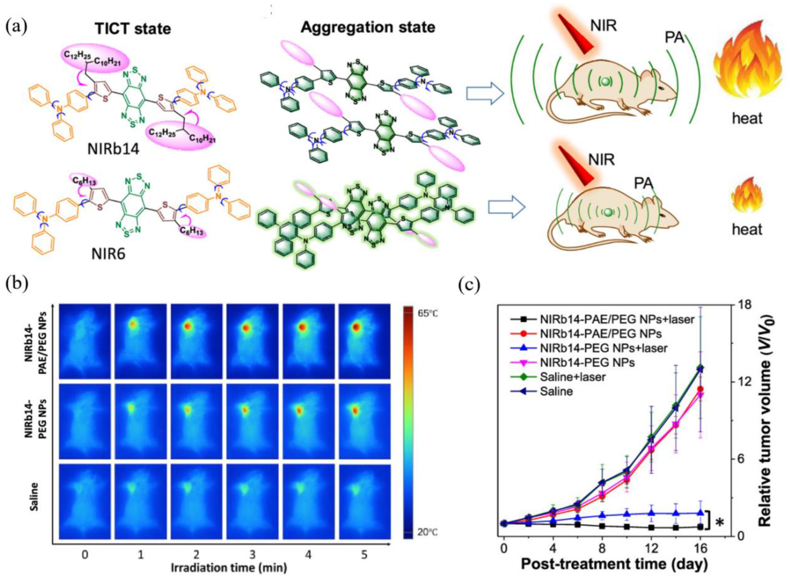 Biosensors 12 00046 g004 550