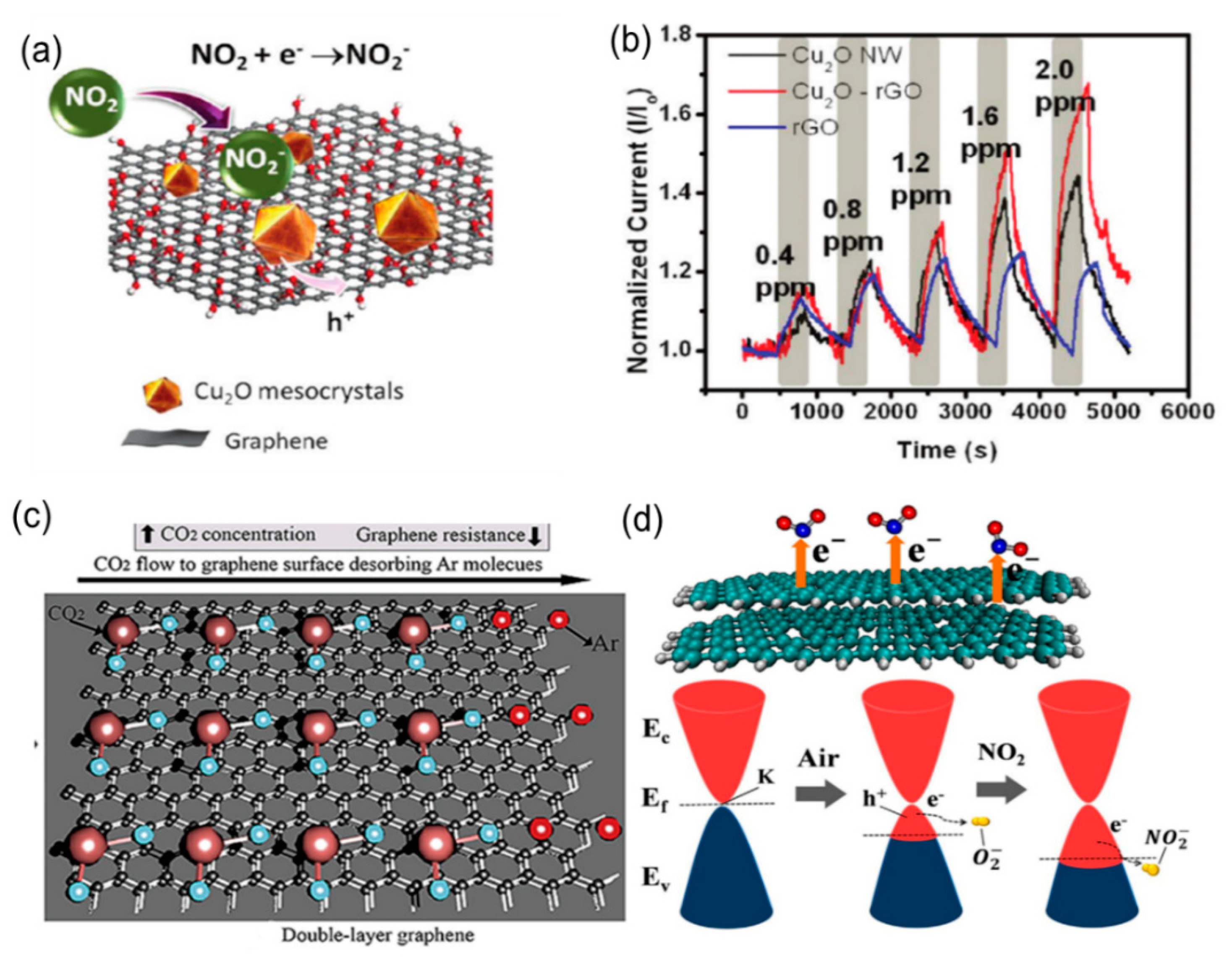 Biosensors 12 00048 g002