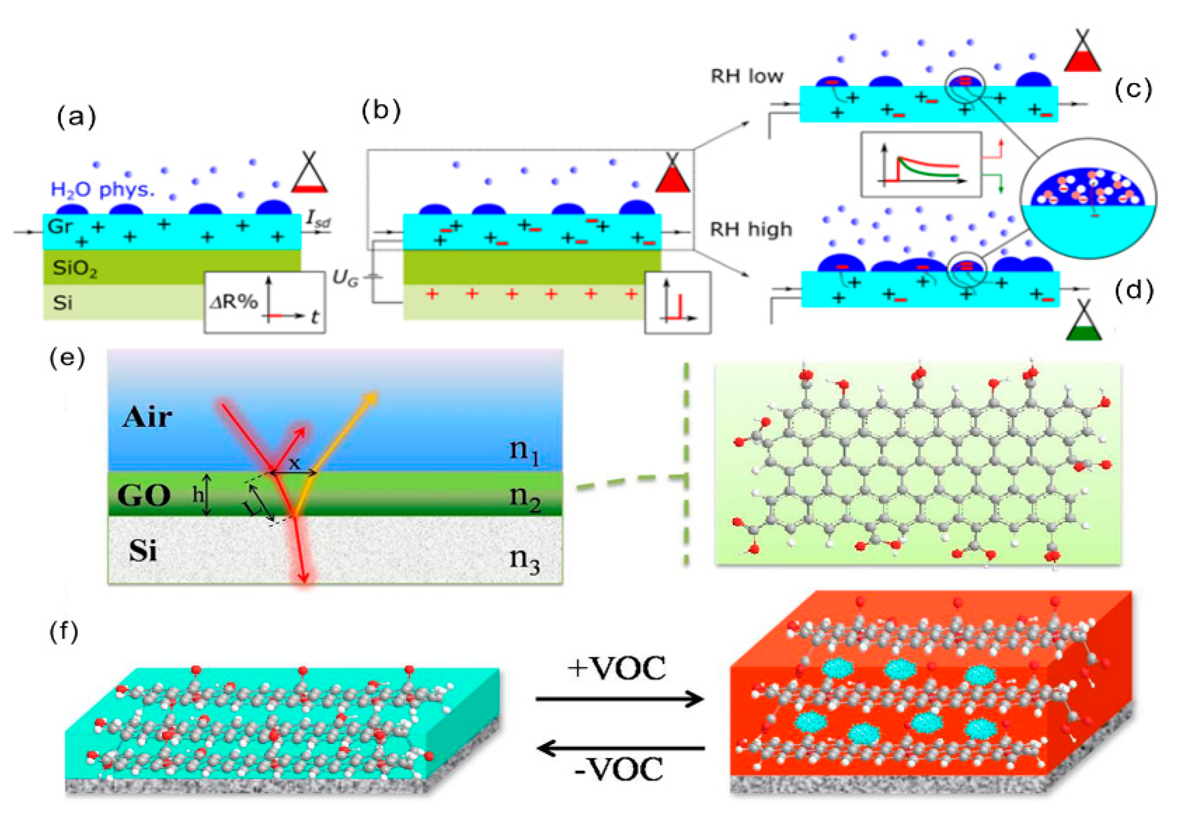 Biosensors 12 00048 g003