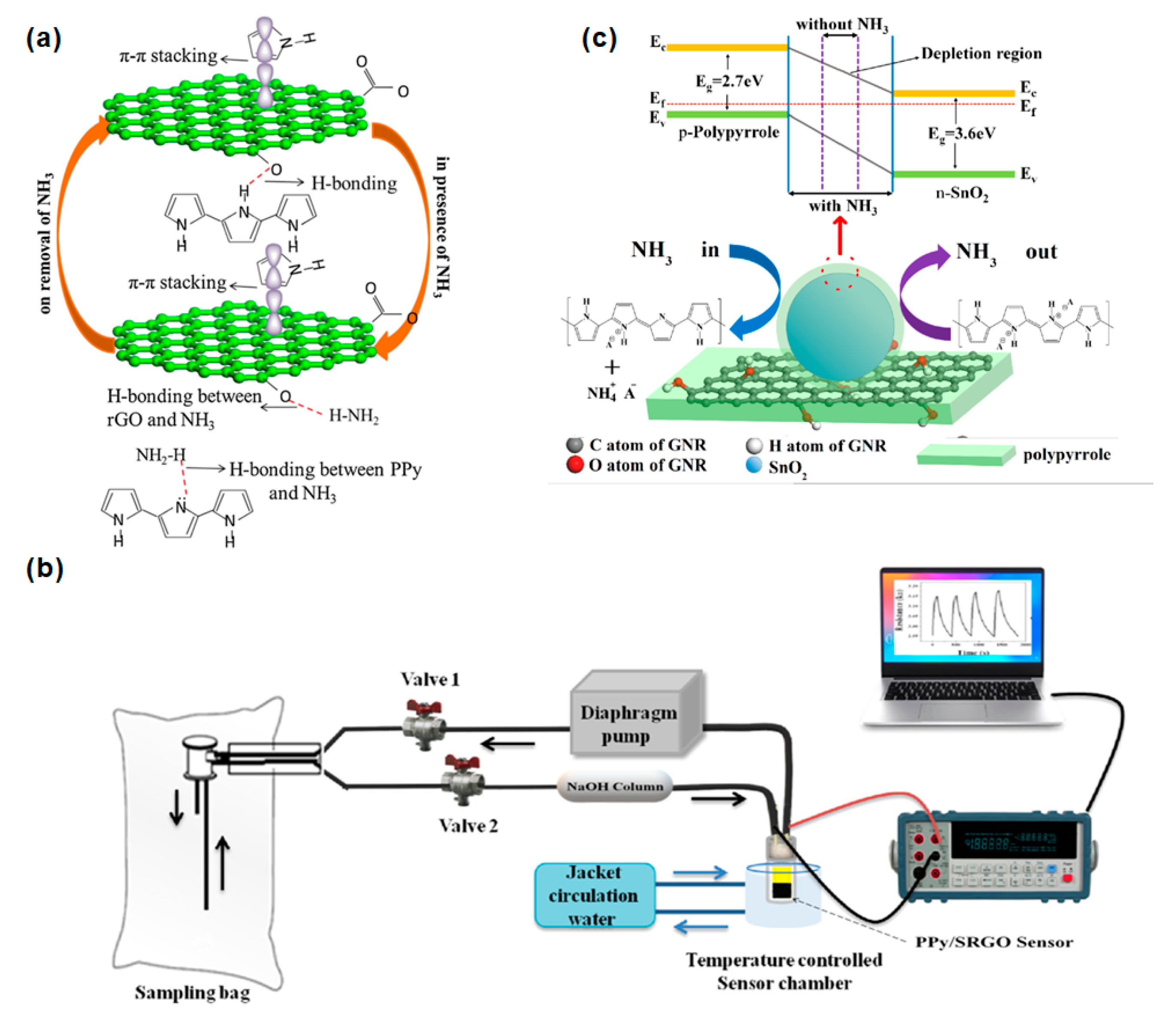 Biosensors 12 00048 g006
