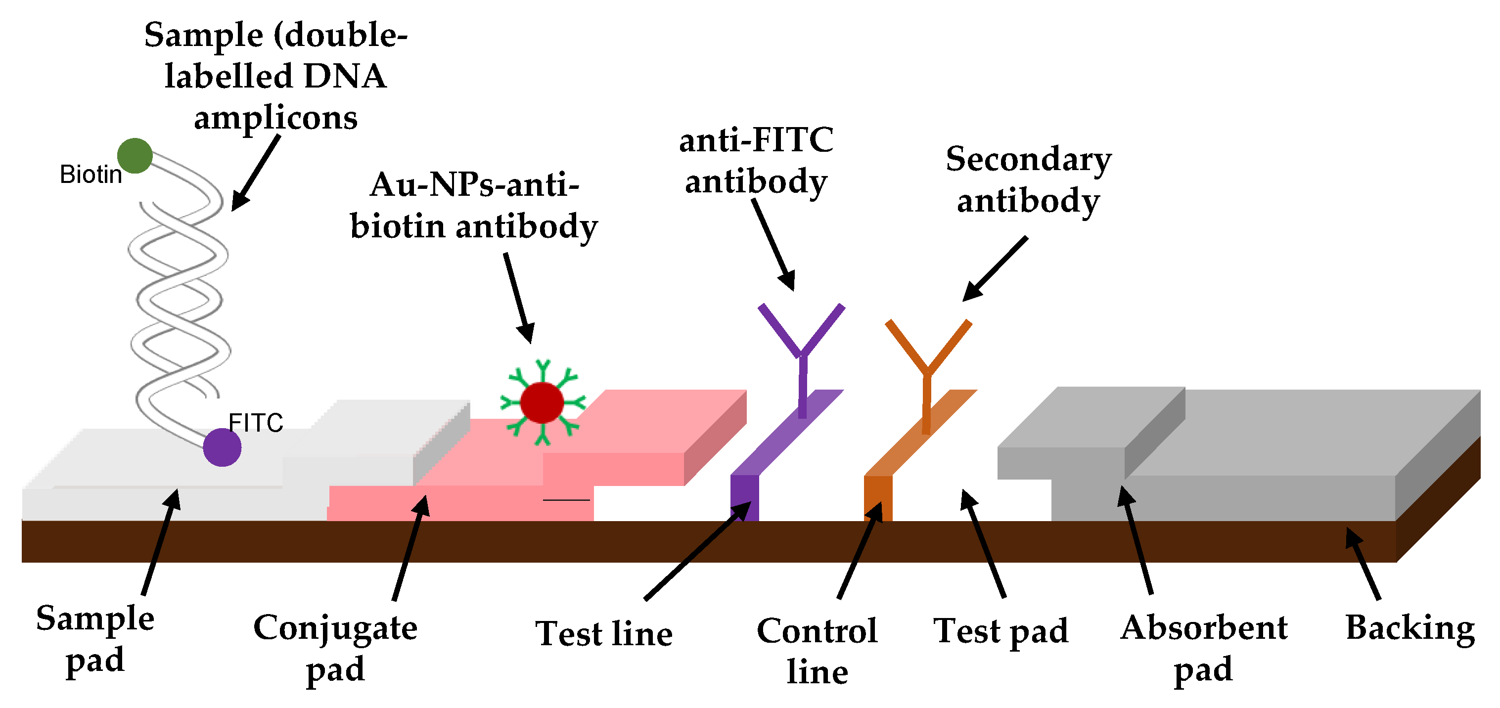 Biosensors 12 00049 g001 Biosensors 12 00049 g001