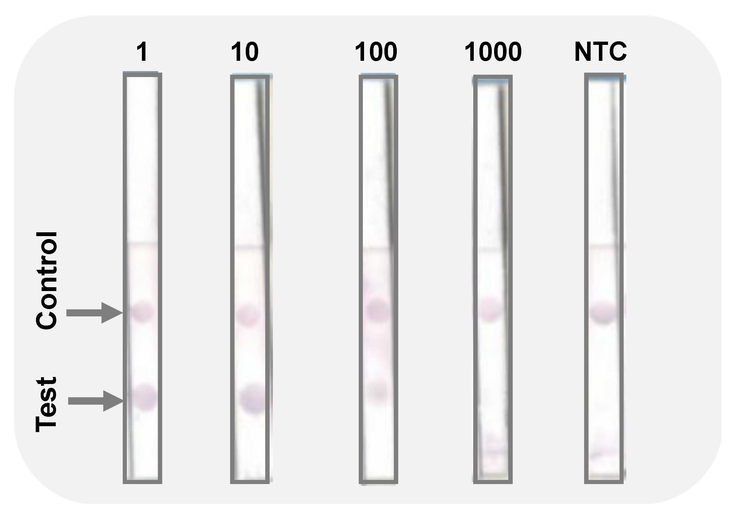 Biosensors 12 00049 g003 Biosensors 12 00049 g003