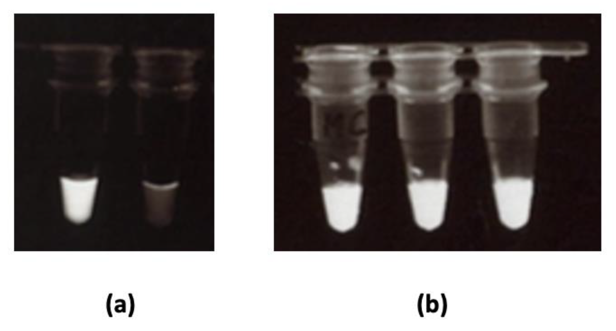 Biosensors 12 00049 g006 Biosensors 12 00049 g006