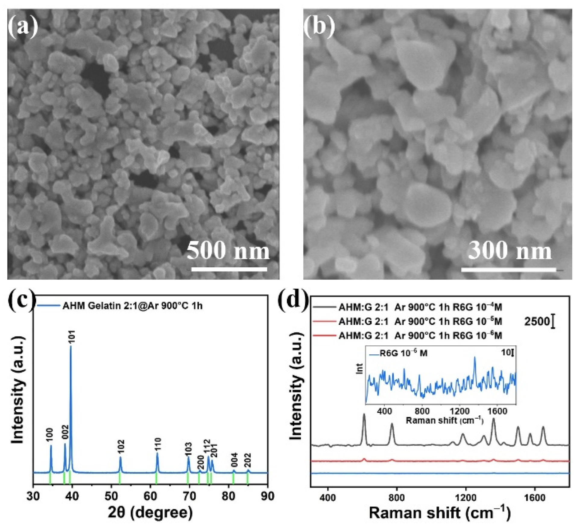 Biosensors 12 00050 g001
