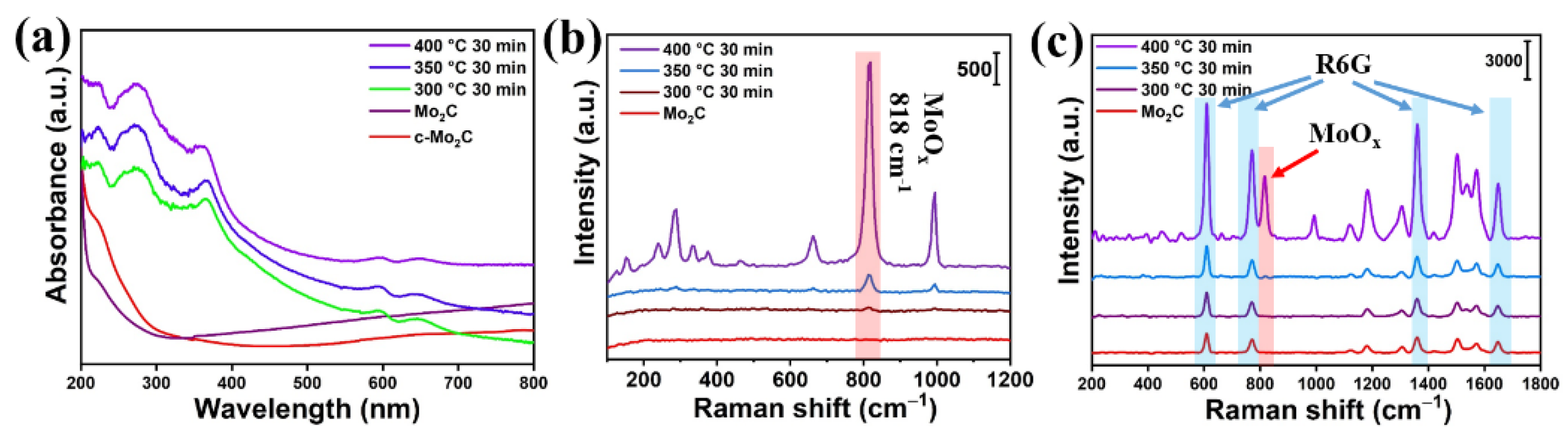Biosensors 12 00050 g002