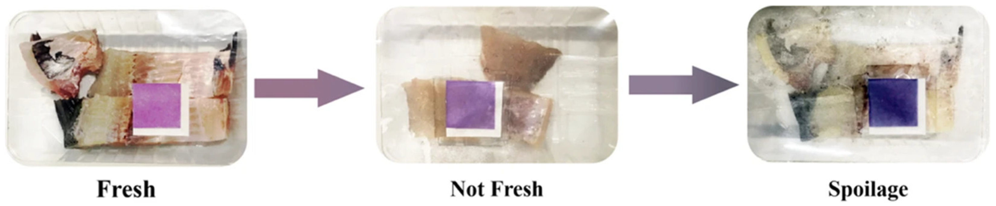 Biosensors 12 00051 g011