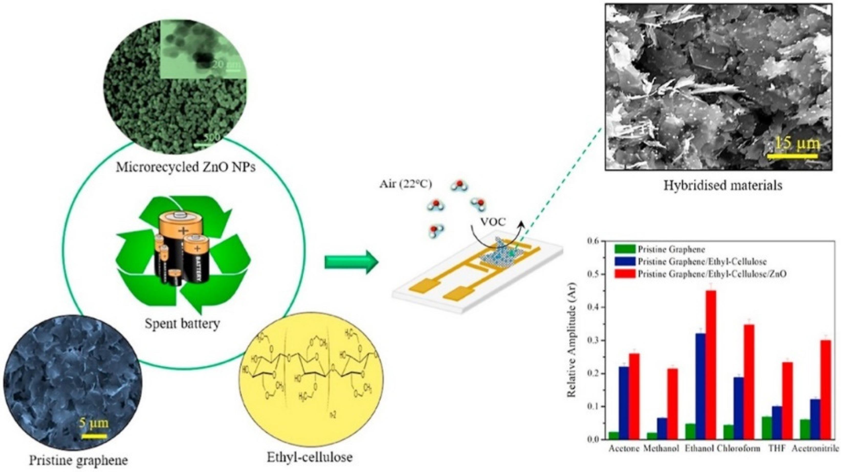 Biosensors 12 00051 g012