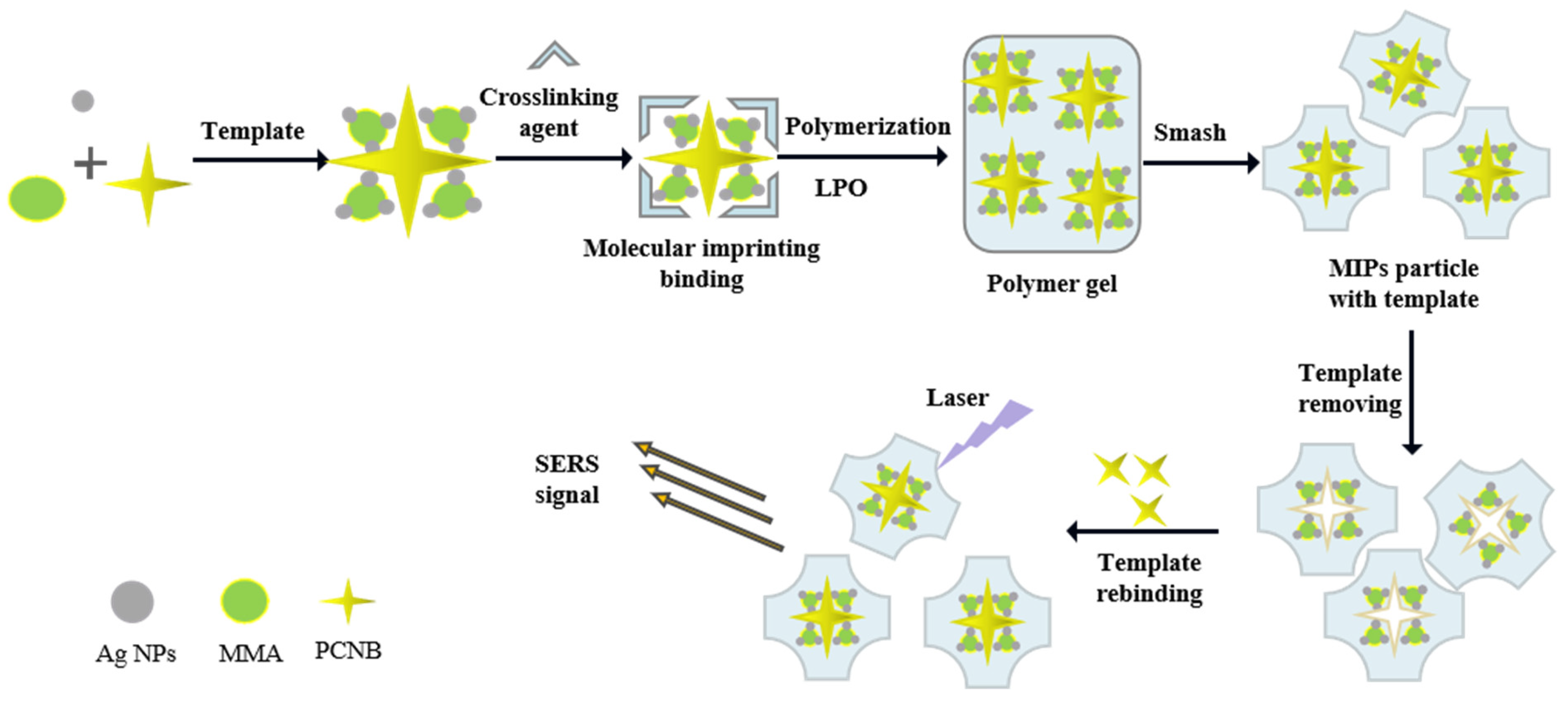Biosensors 12 00052 g001