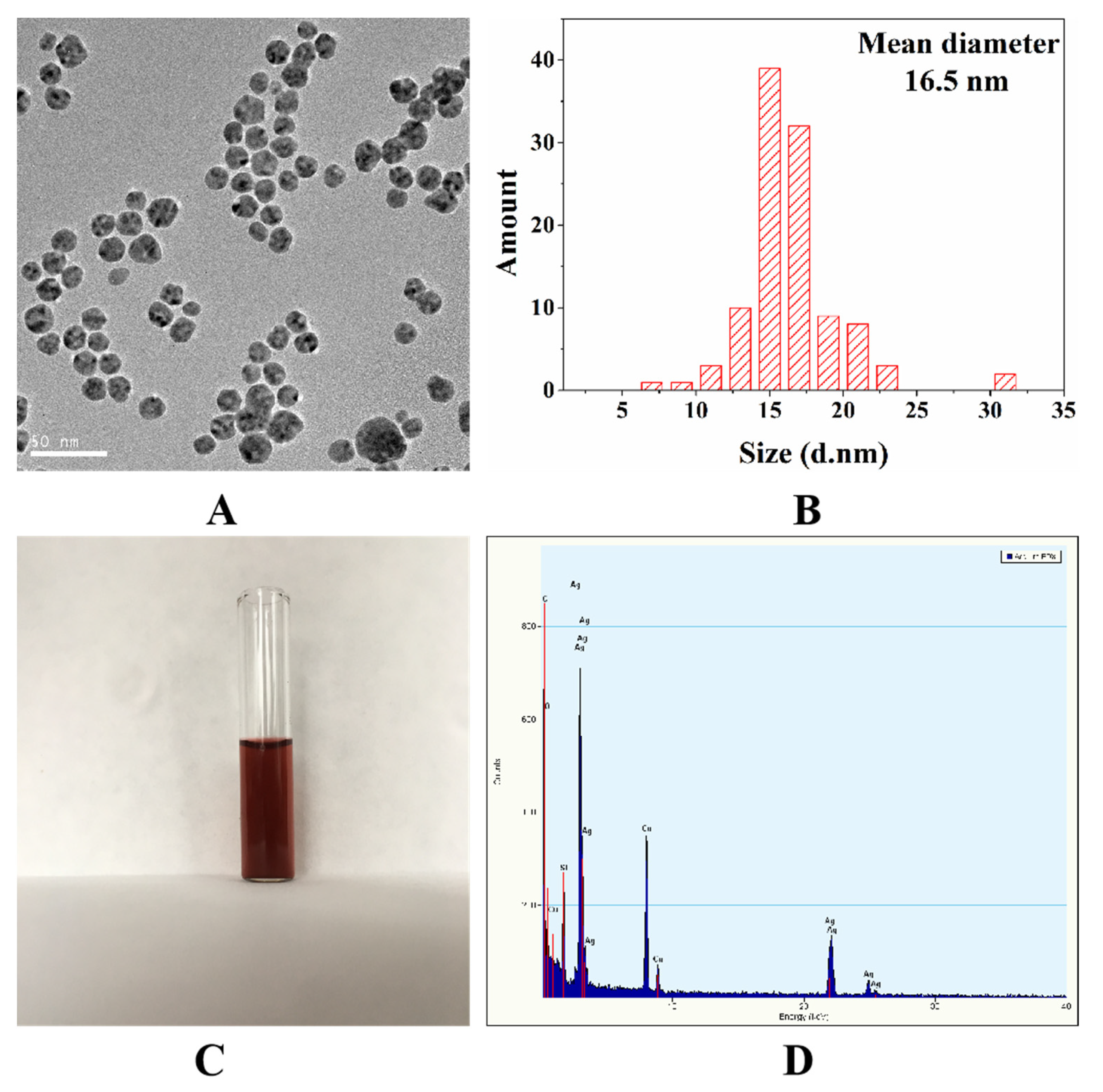 Biosensors 12 00052 g002