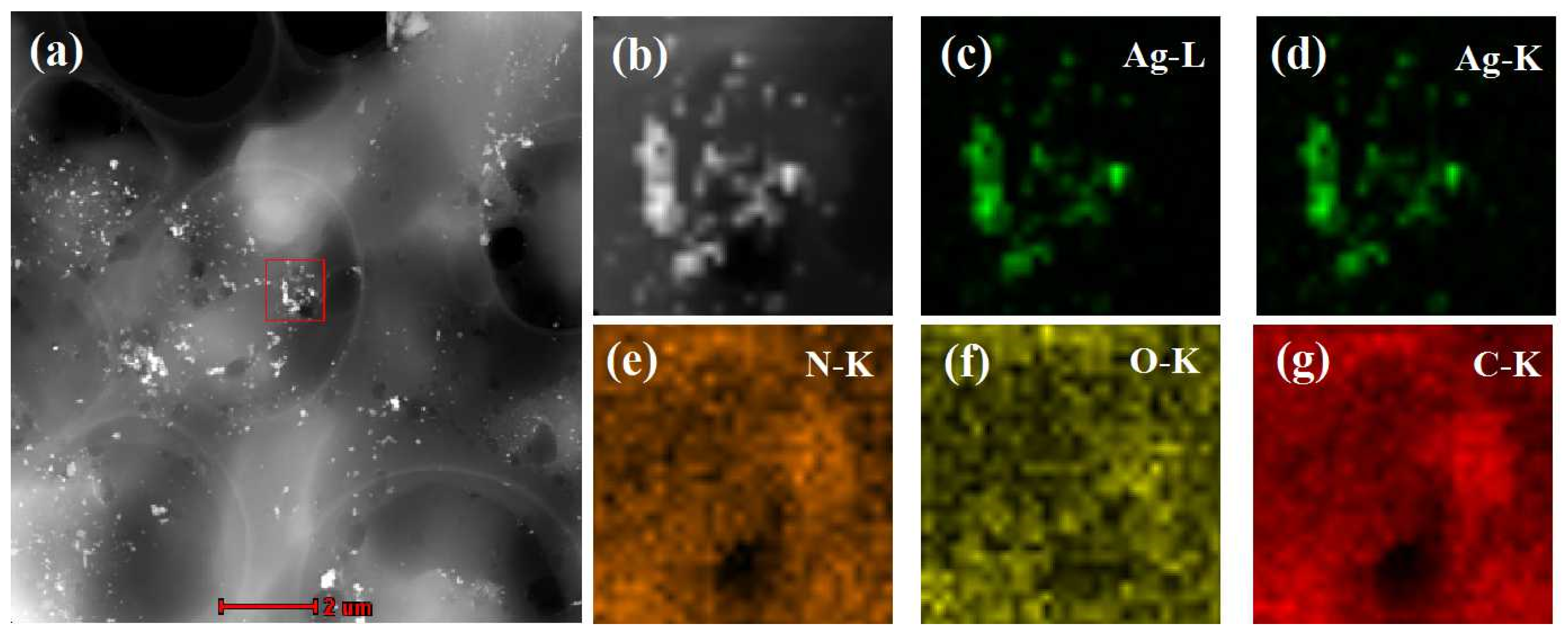 Biosensors 12 00052 g003