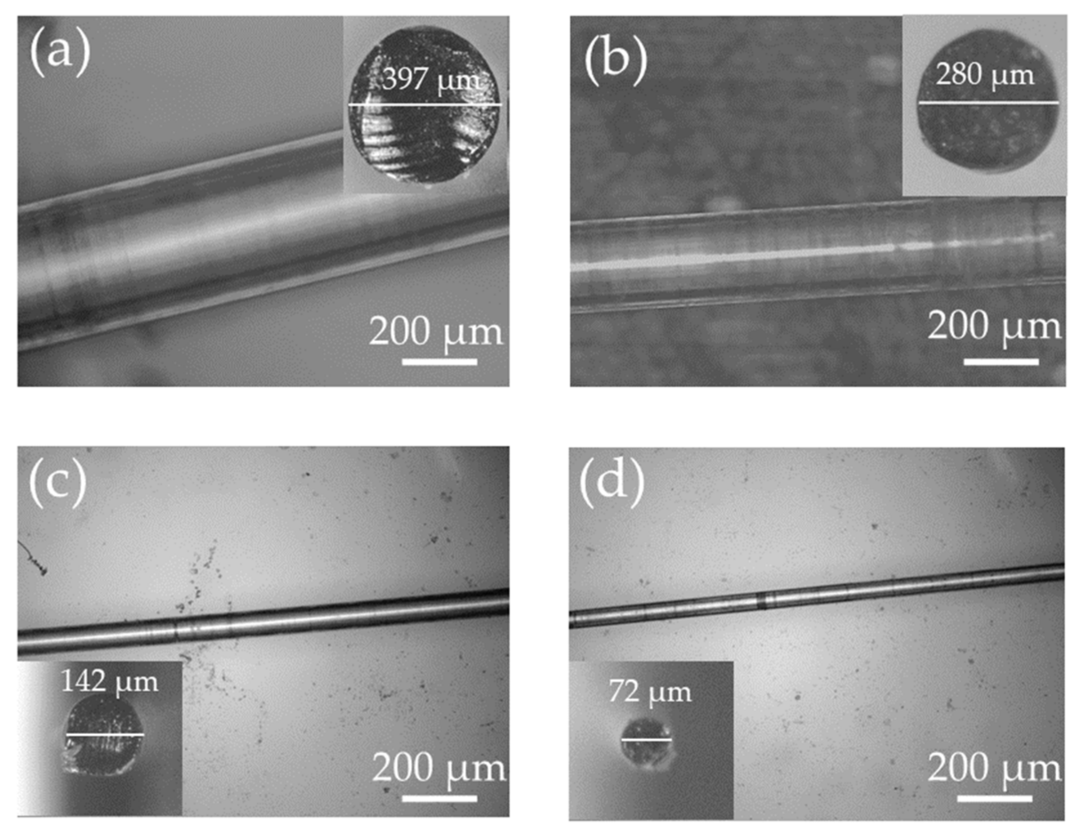 Biosensors 12 00054 g002 550