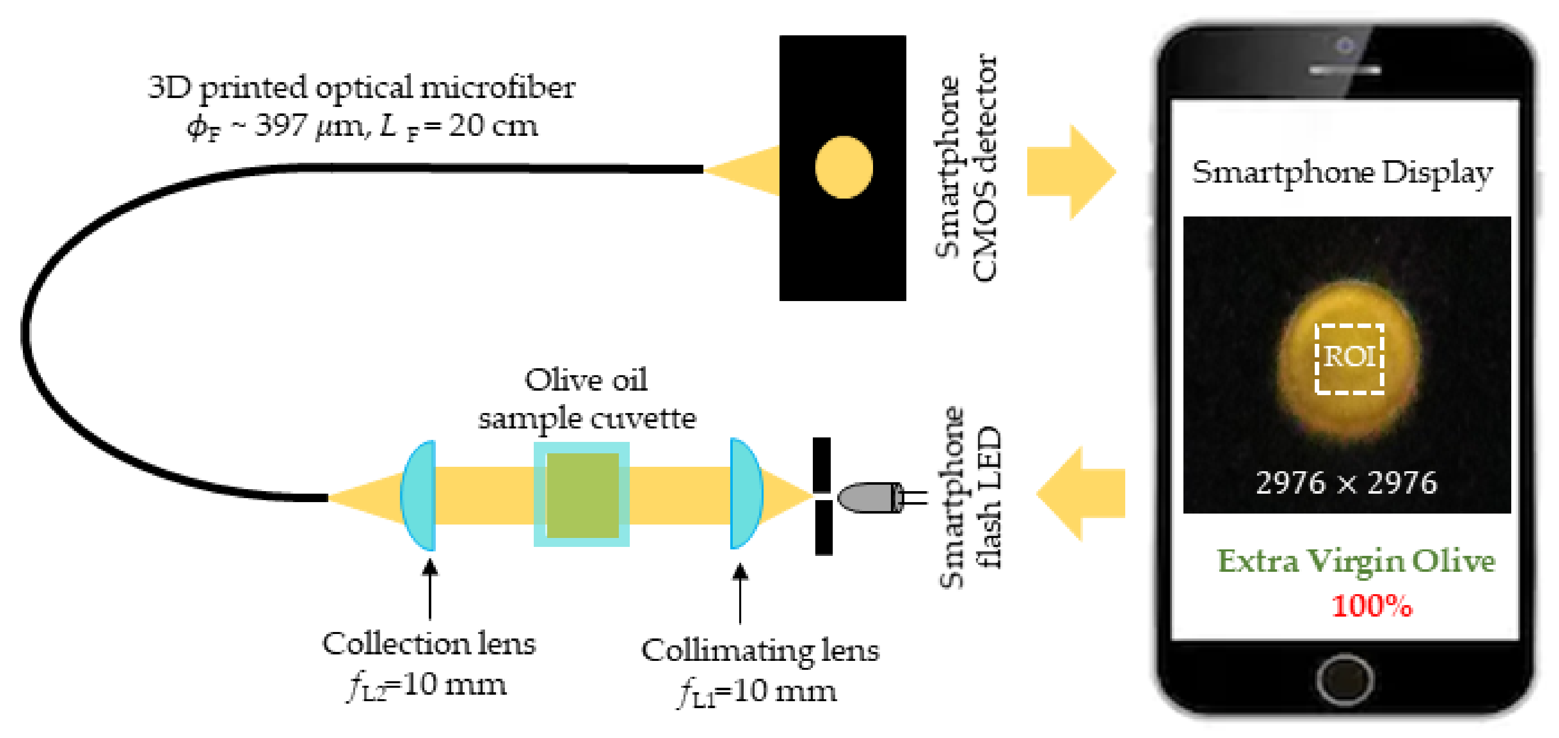 Biosensors 12 00054 g004 550