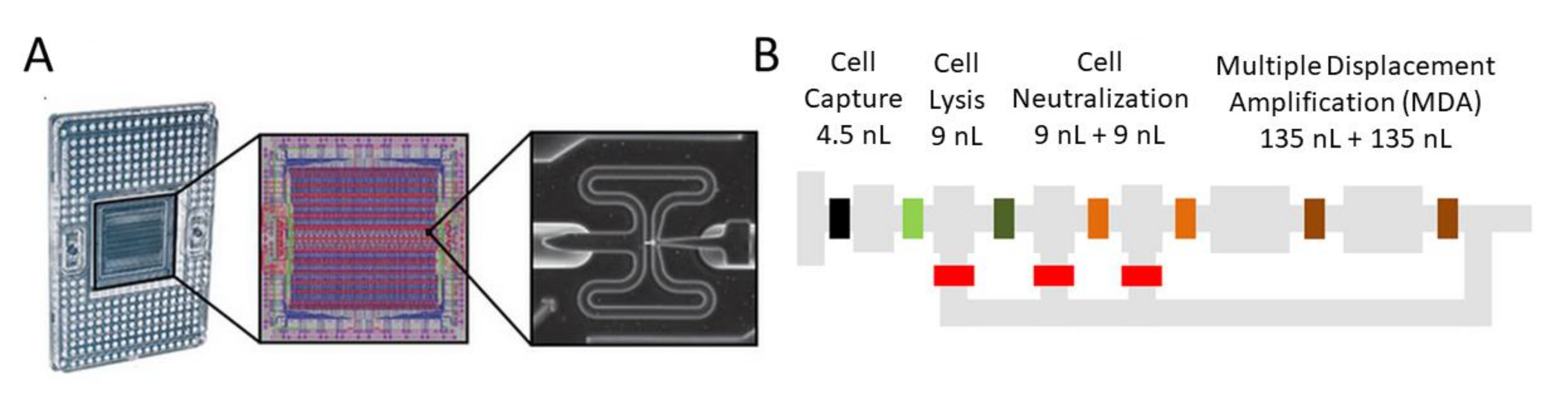 Biosensors 12 00058 g002 550