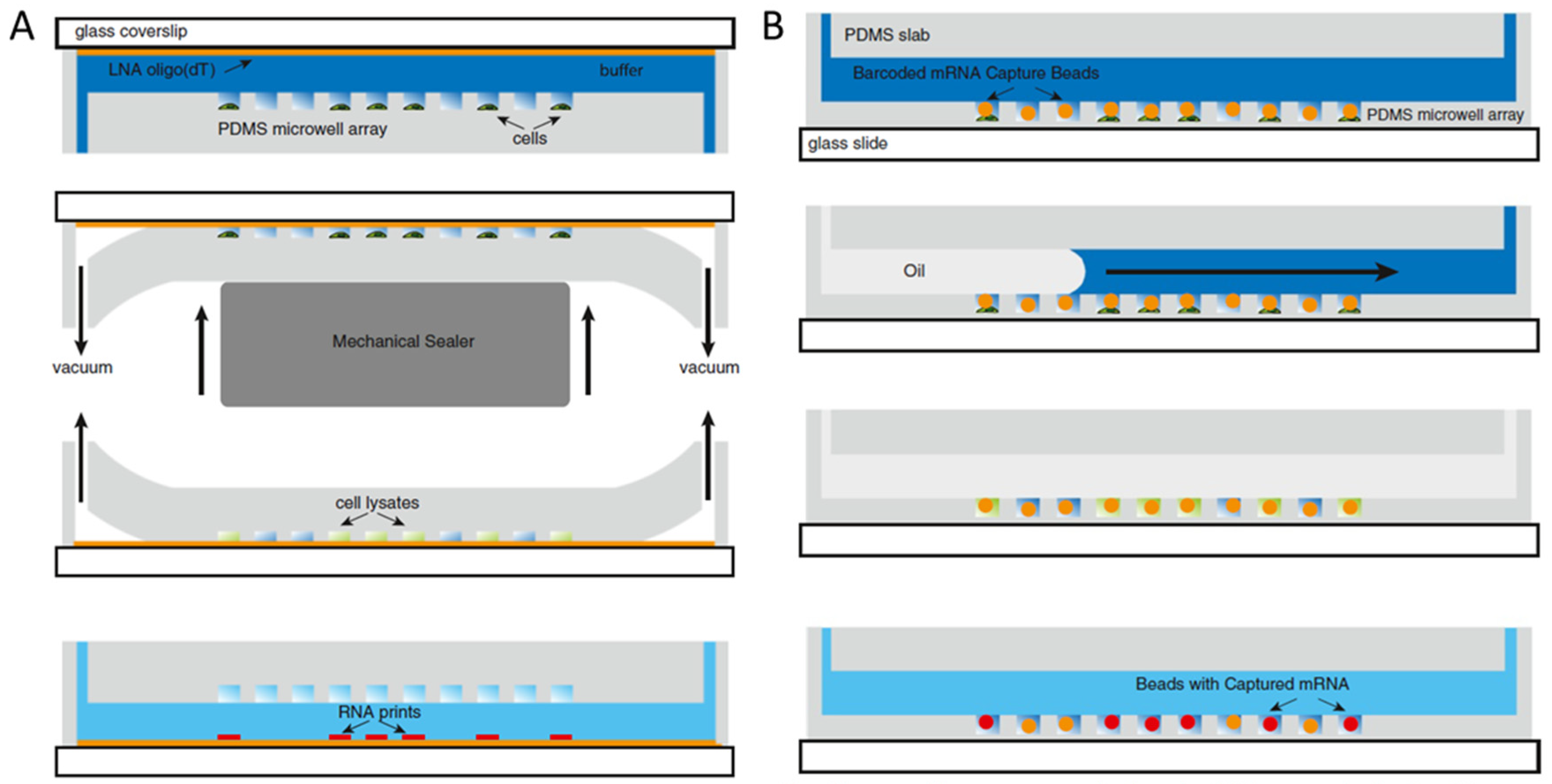 Biosensors 12 00058 g005 550