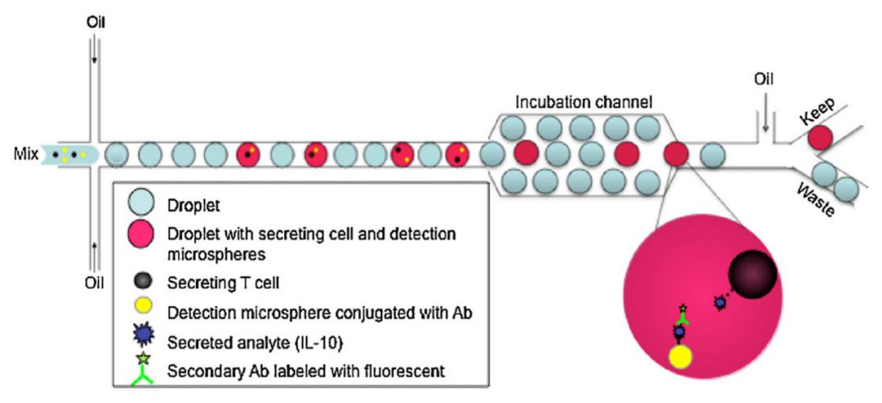 Biosensors 12 00058 g009 550