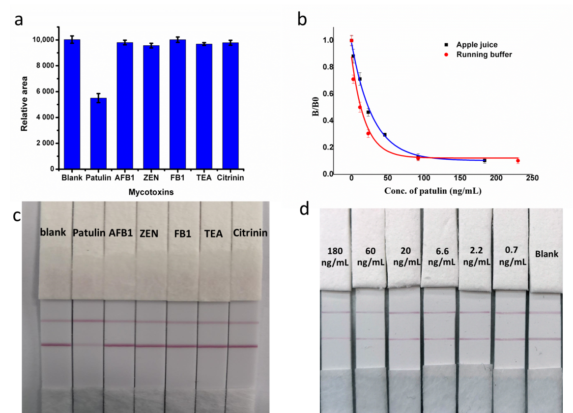 Biosensors 12 00059 g003 550
