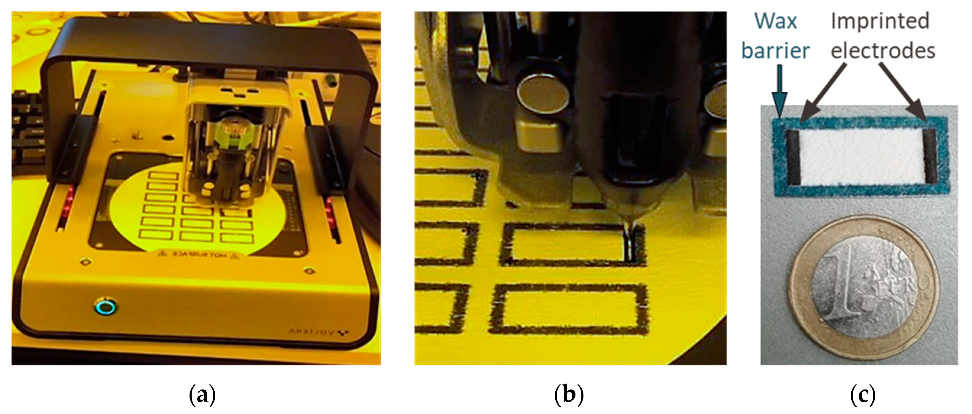 Biosensors 12 00062 g002