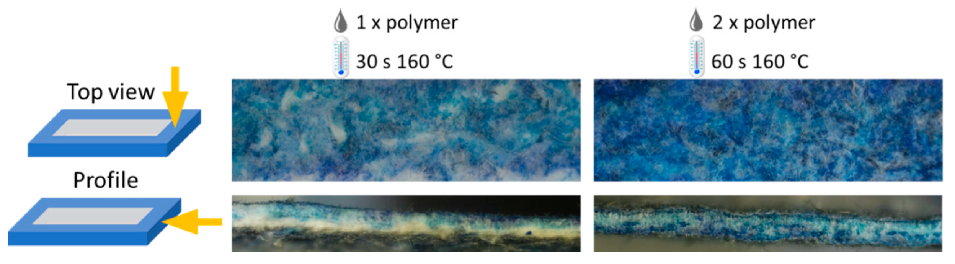 Biosensors 12 00062 g004