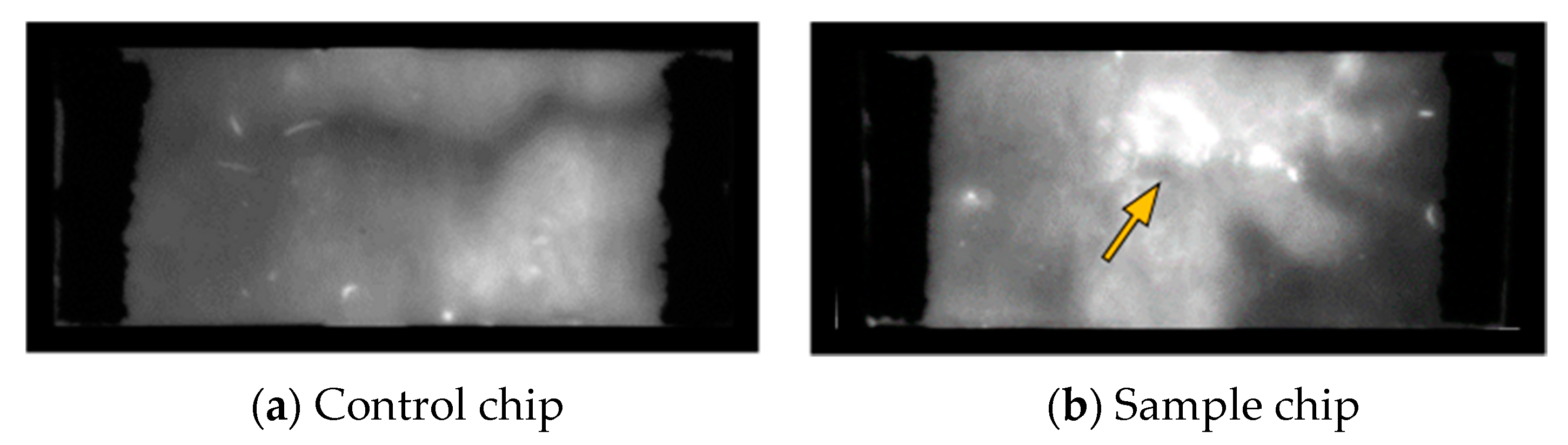 Biosensors 12 00062 g010