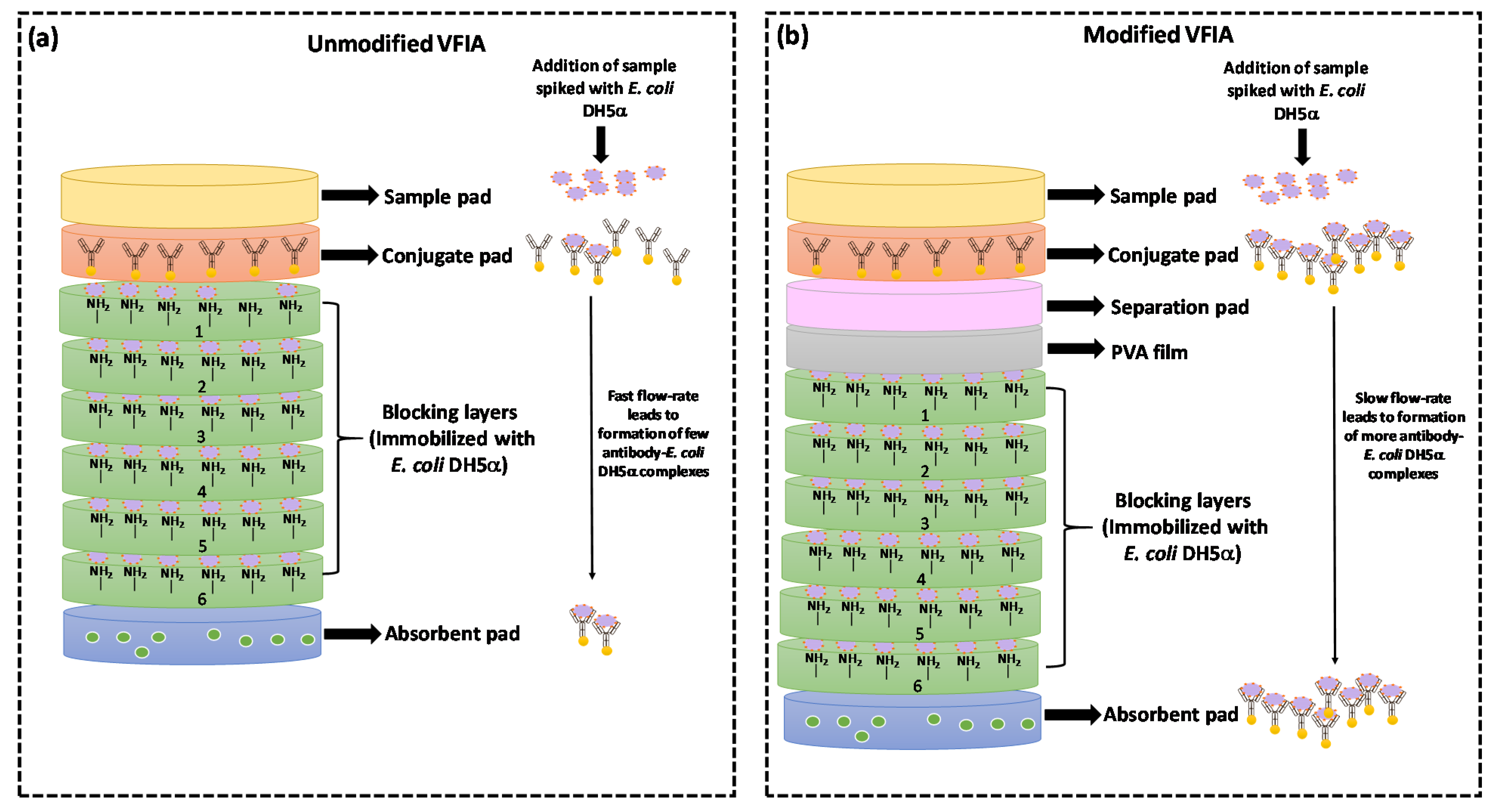 Biosensors 12 00063 g007