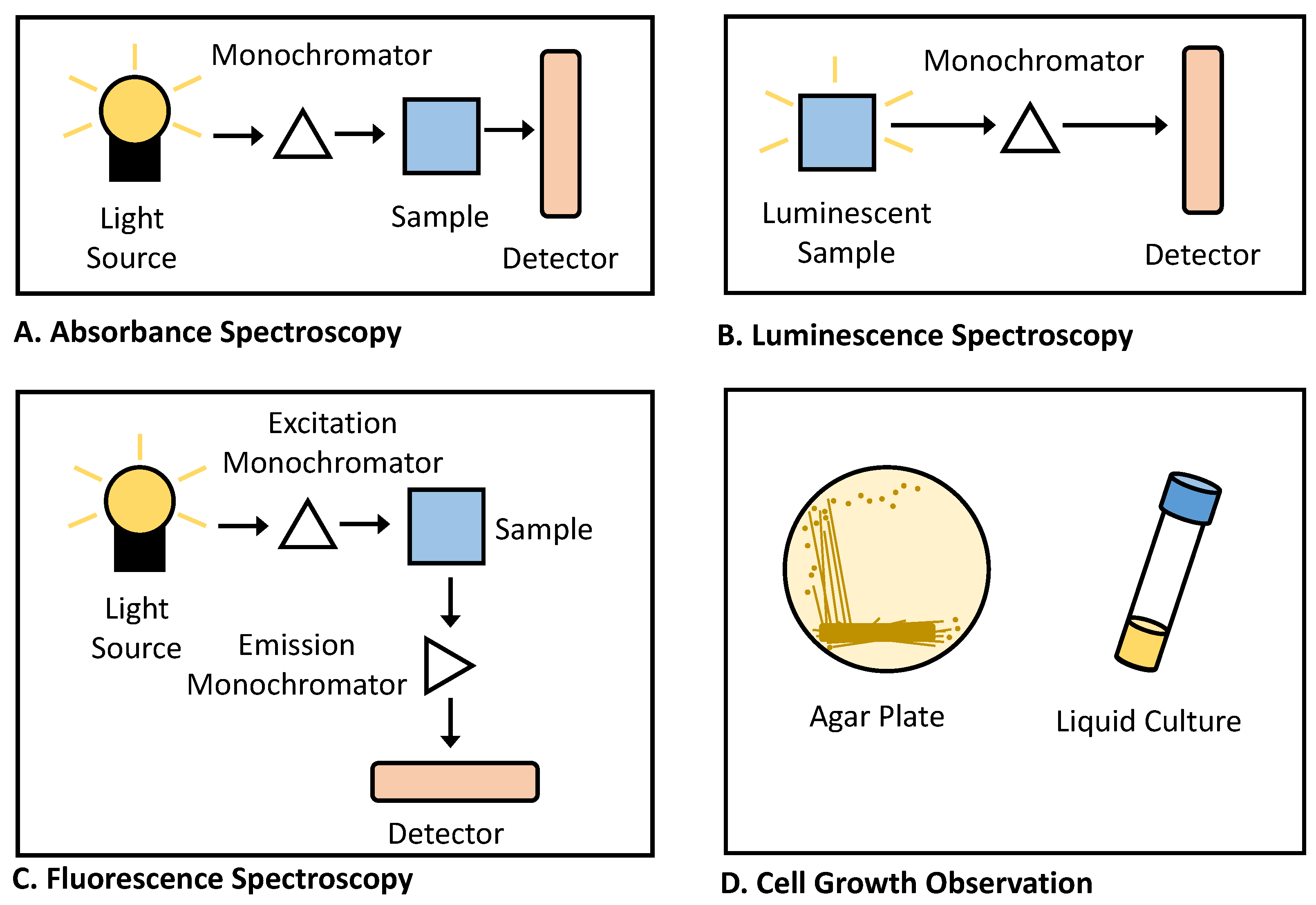 Biosensors 12 00064 g005 550
