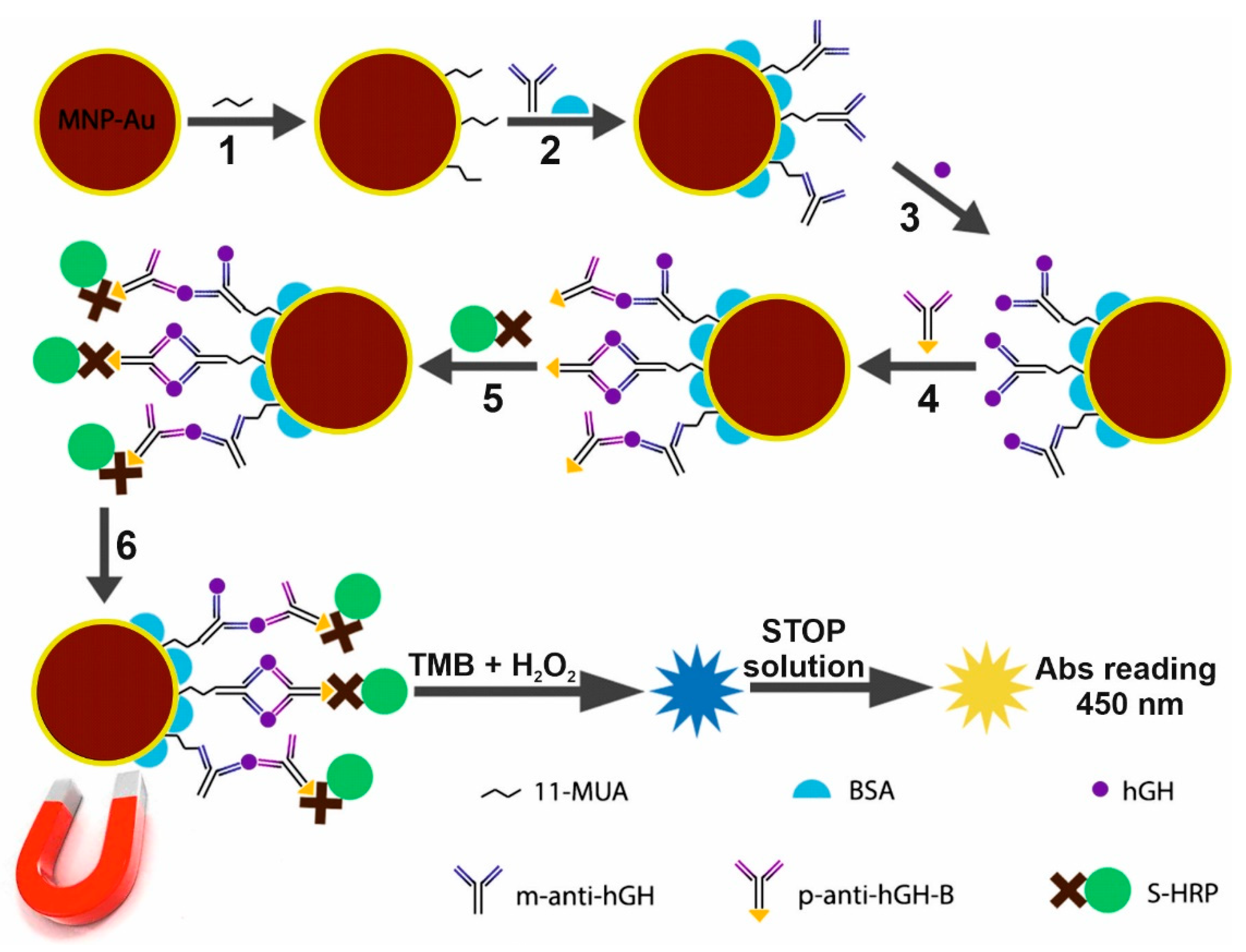 Biosensors 12 00065 g001