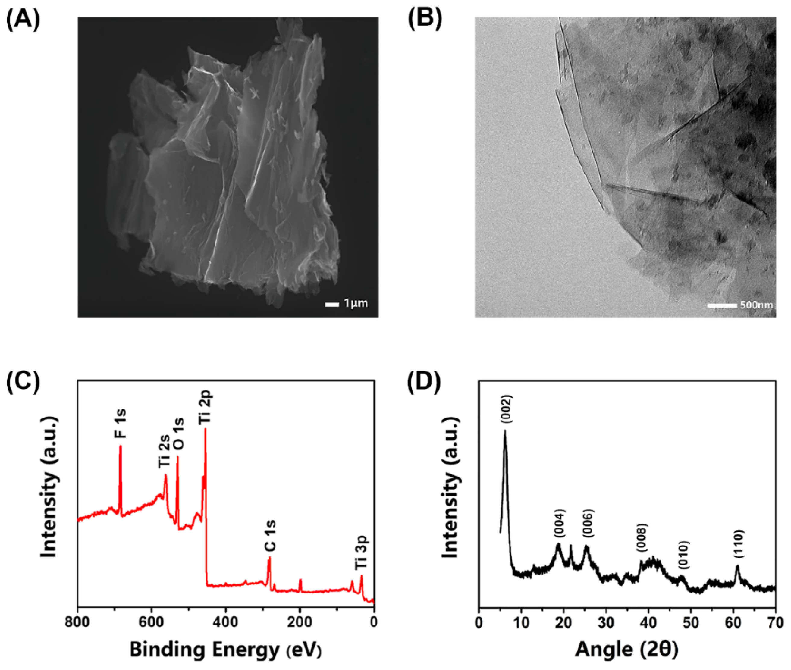 Biosensors 12 00066 g001 550