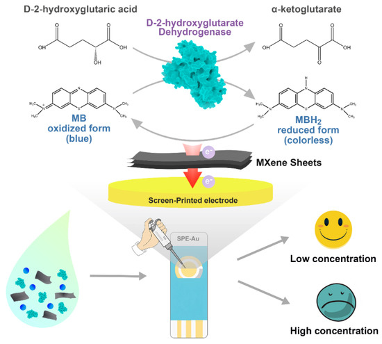 An Enzymatic Biosensor for the Detection of D-2