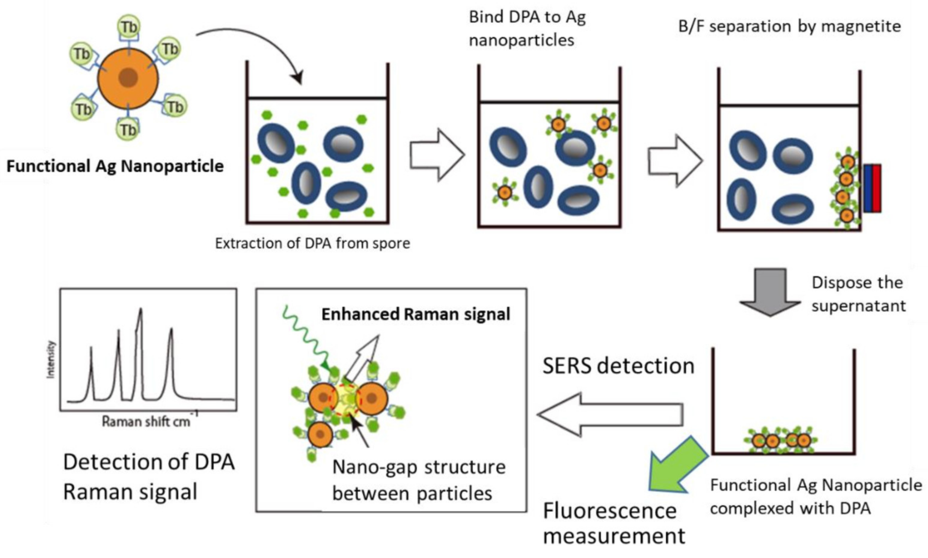 Biosensors 12 00068 g001