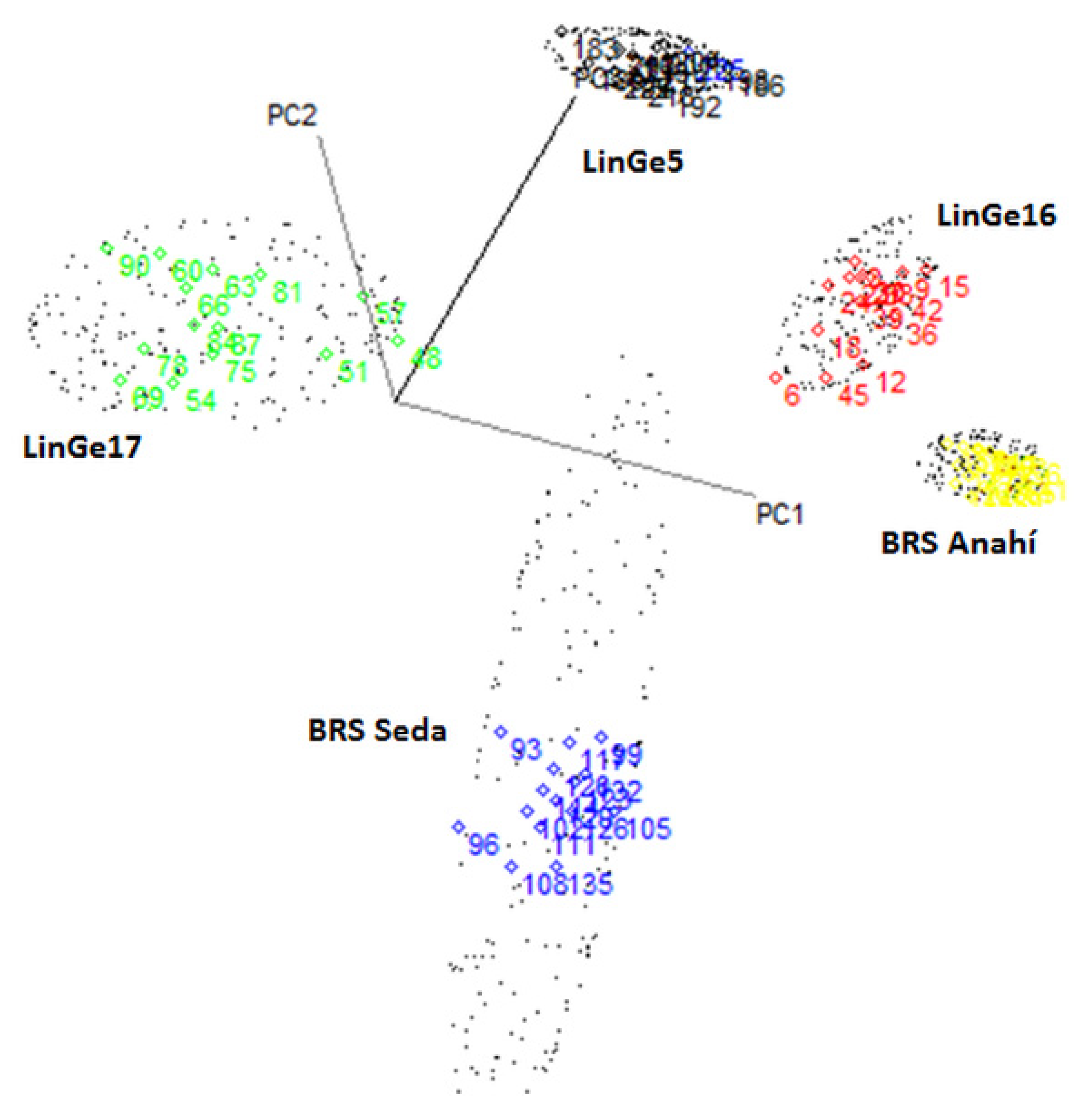 Biosensors 12 00069 g008