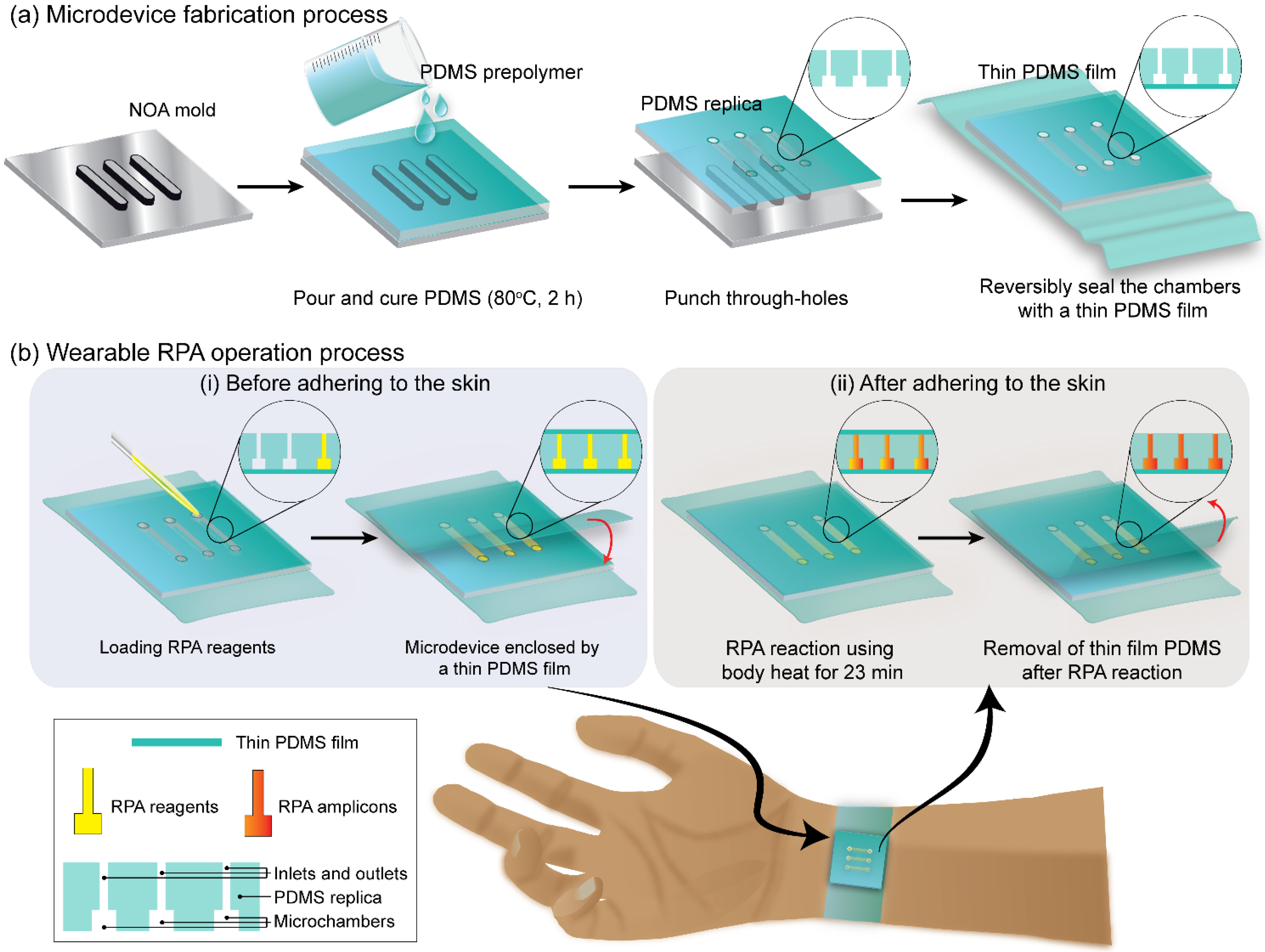 Biosensors 12 00072 g001