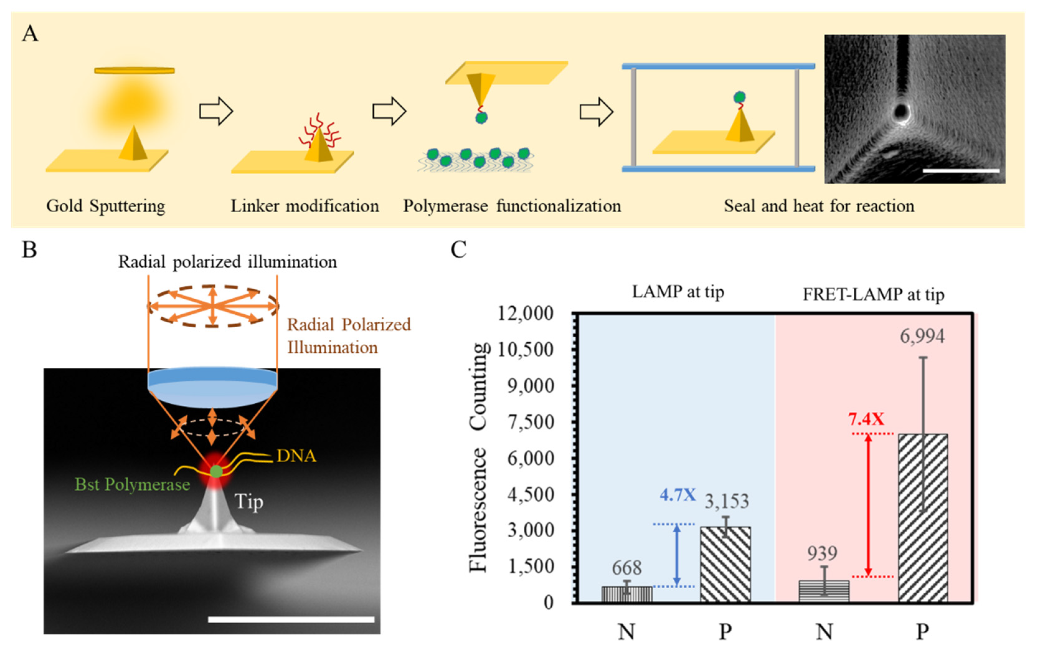 Biosensors 12 00075 g004 Biosensors 12 00075 g004