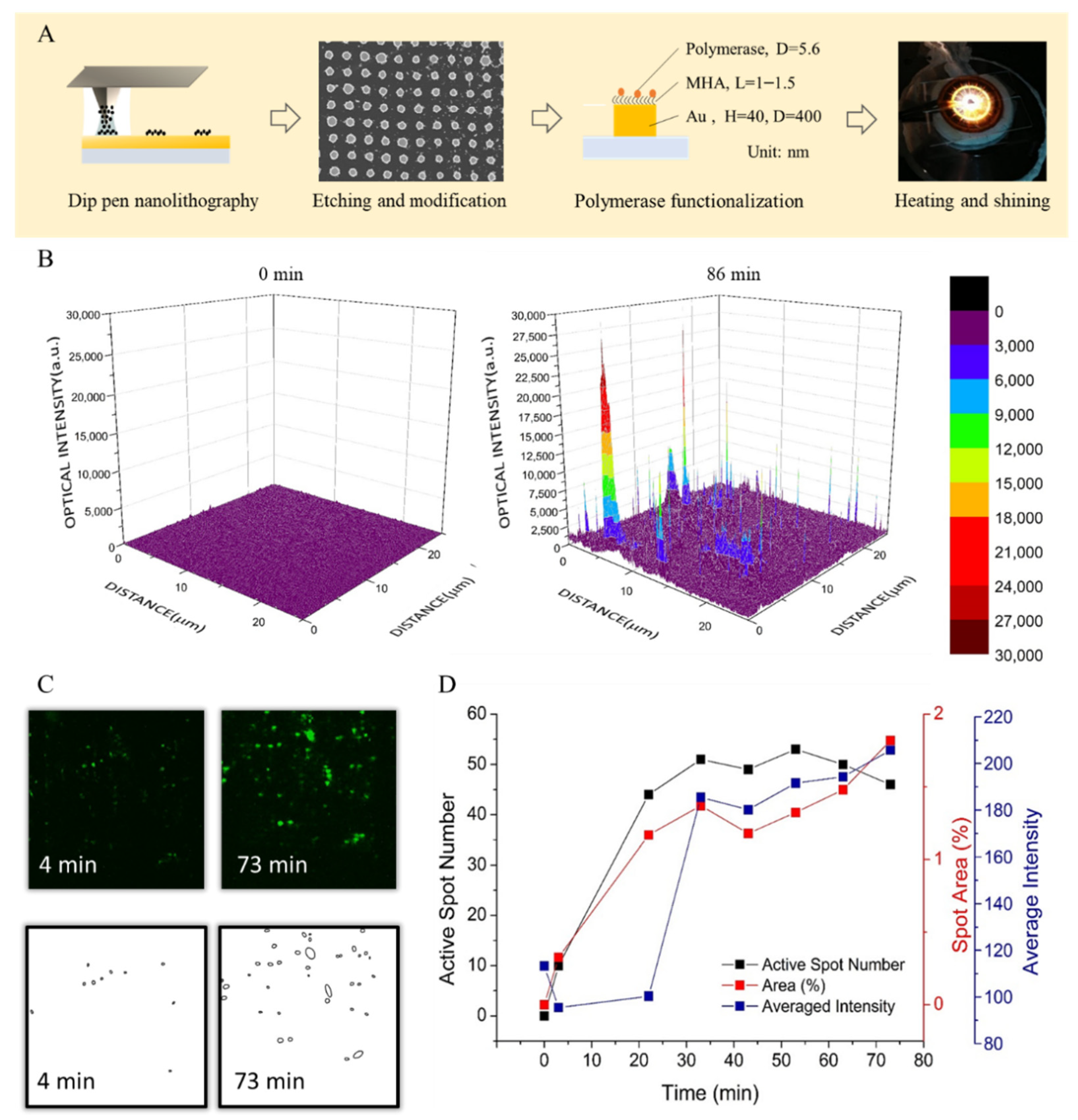 Biosensors 12 00075 g005 Biosensors 12 00075 g005