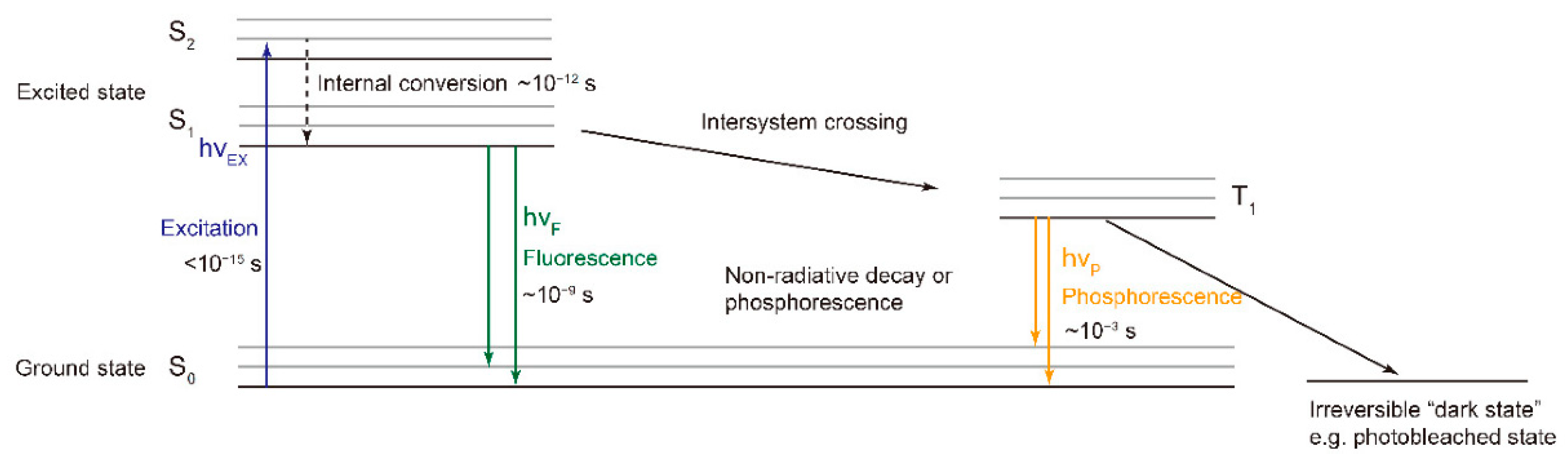 Biosensors 12 00076 g001 Biosensors 12 00076 g001